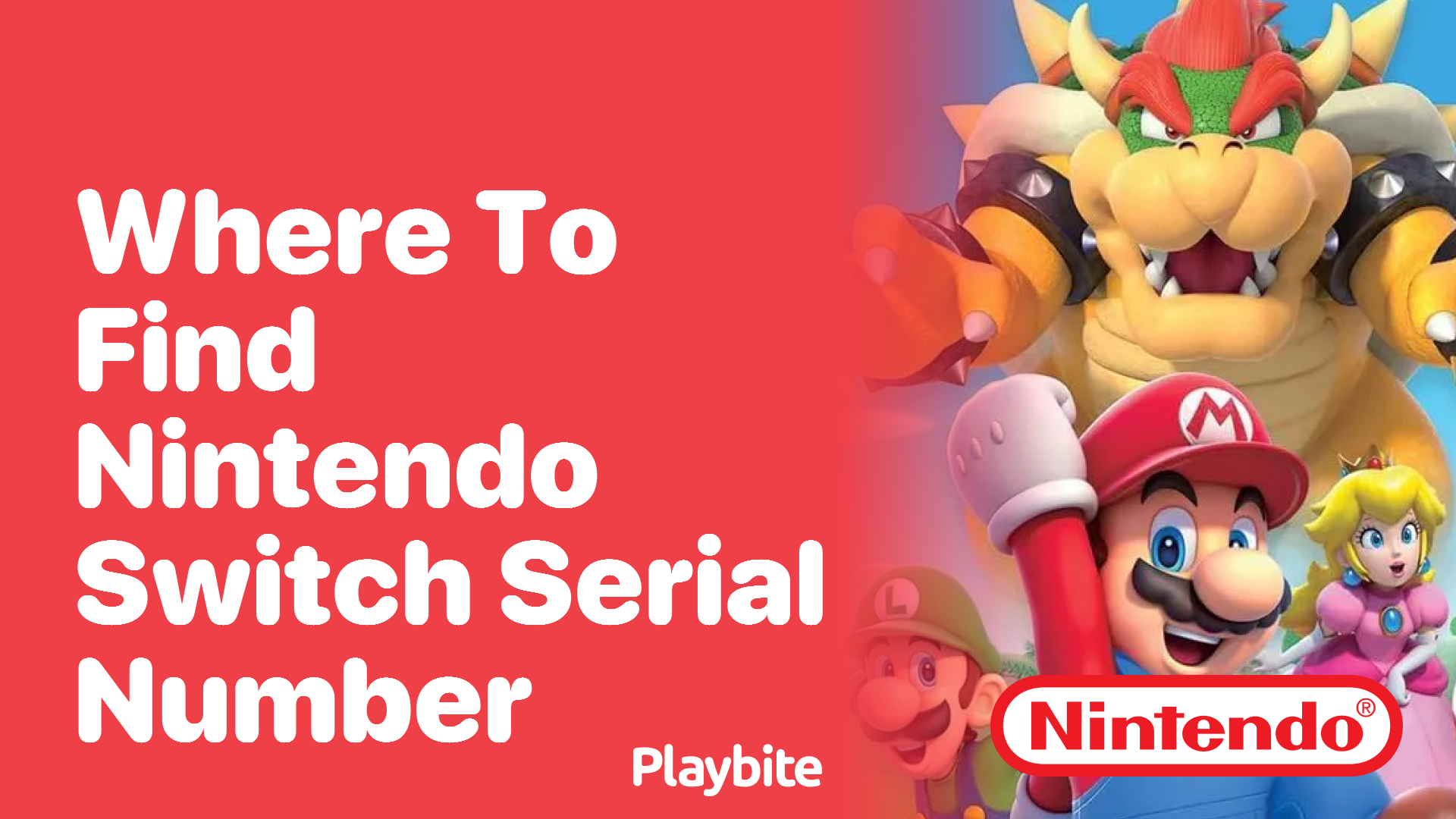 Where to Find Your Nintendo Switch Serial Number