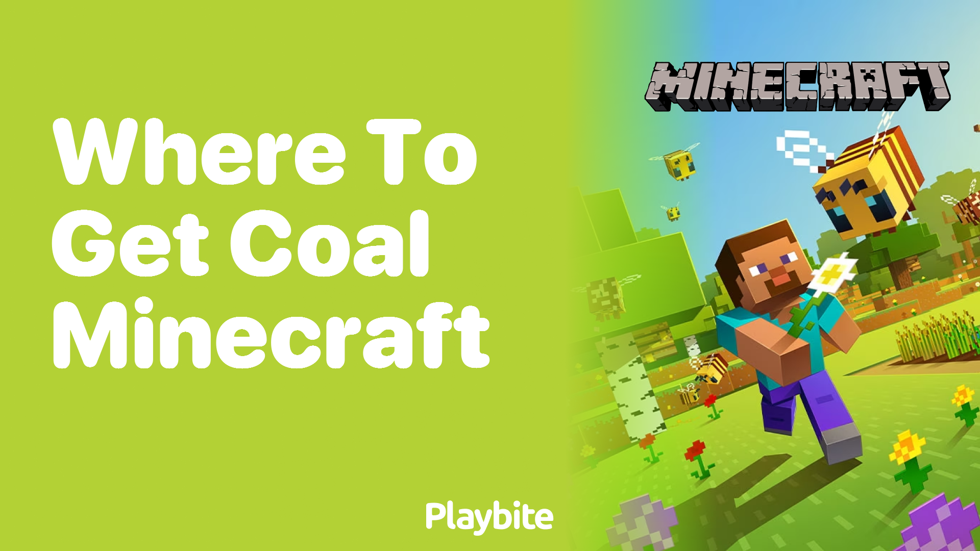 Where to Get Coal in Minecraft: A Simple Guide