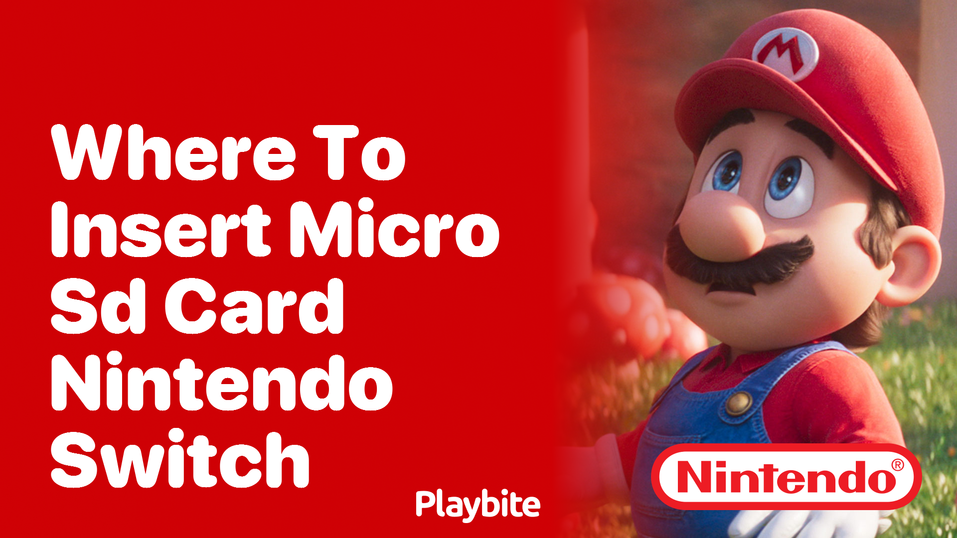 Where to Insert a Micro SD Card in Your Nintendo Switch
