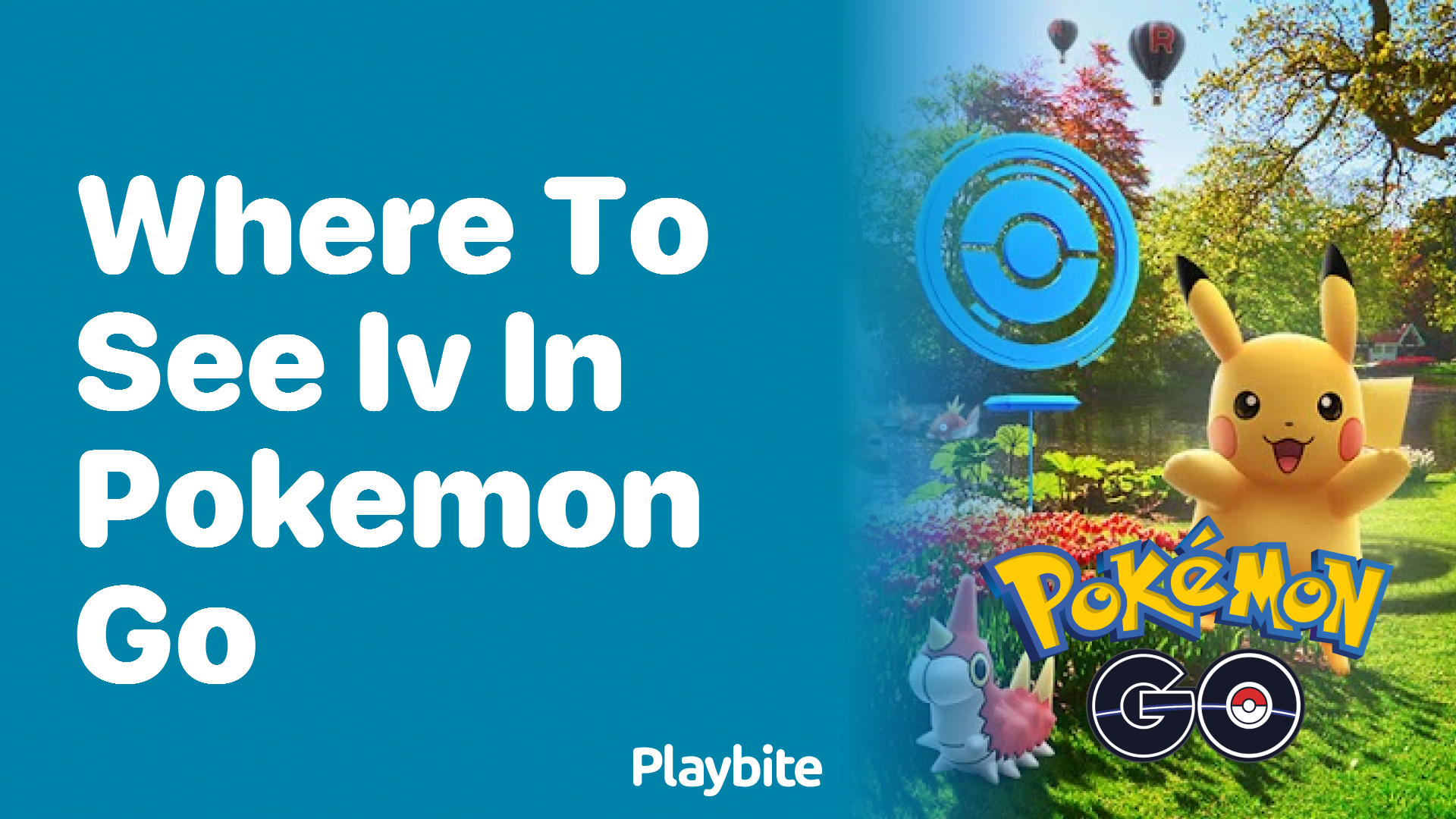 Where to See IV in Pokémon GO
