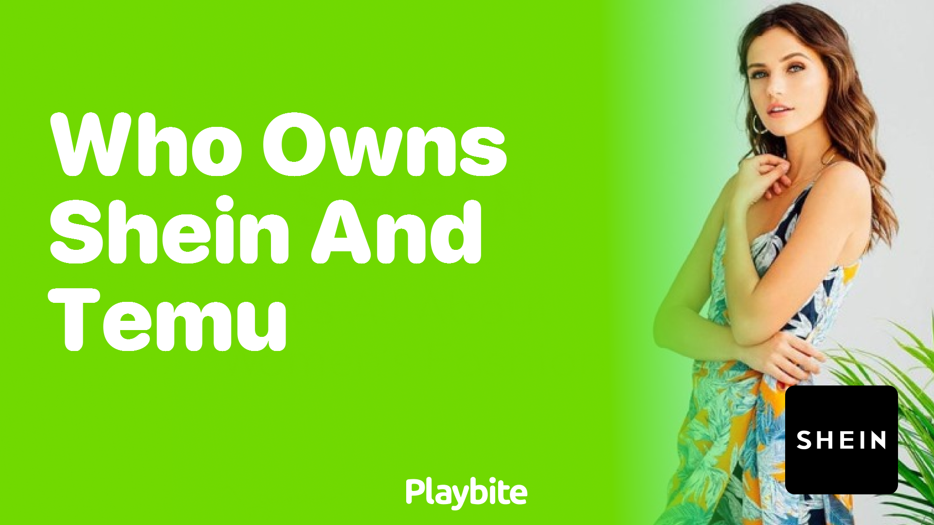 Who Owns SHEIN and TEMU? Unraveling the Mystery