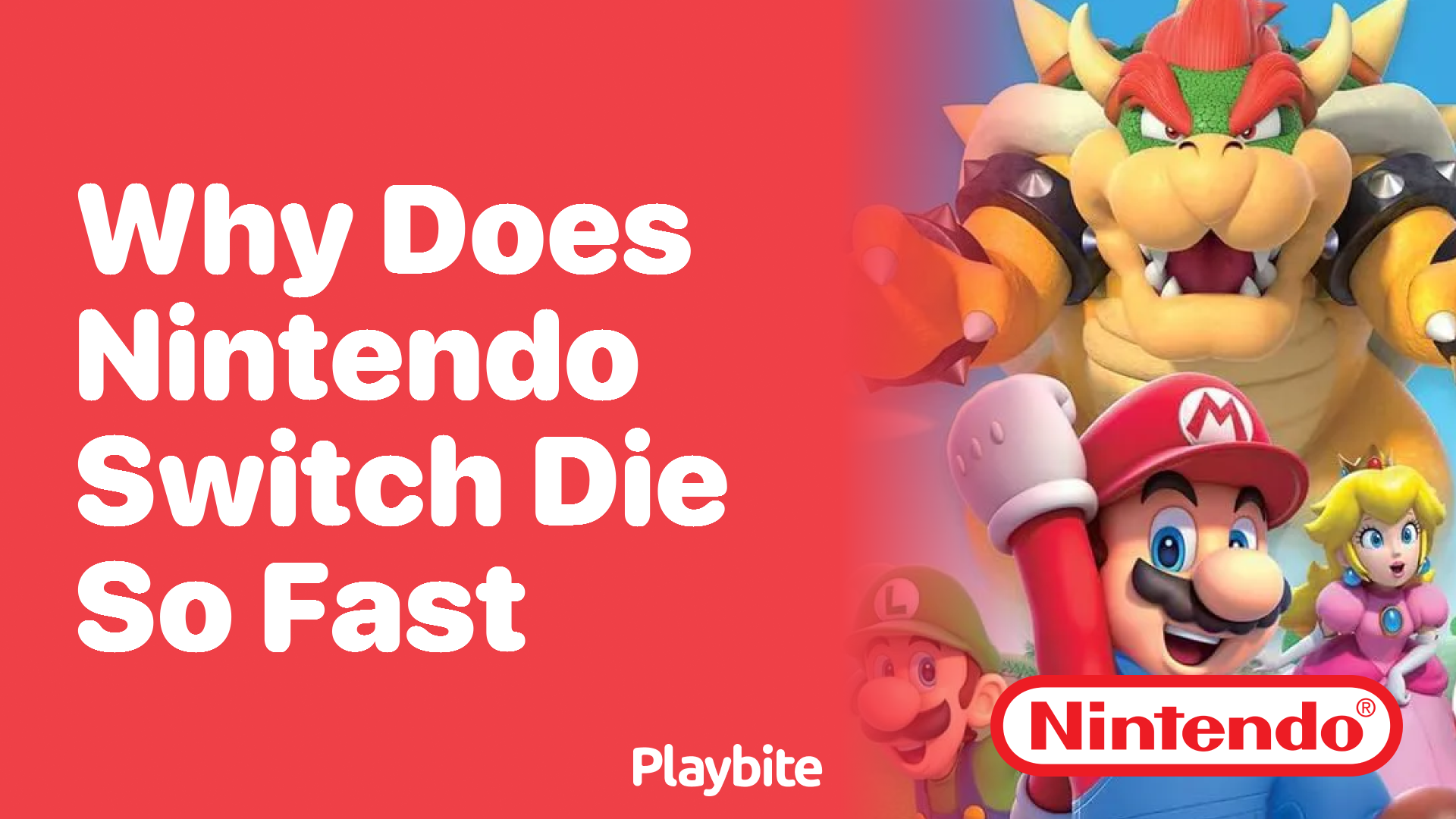 Why Does the Nintendo Switch Die So Fast?