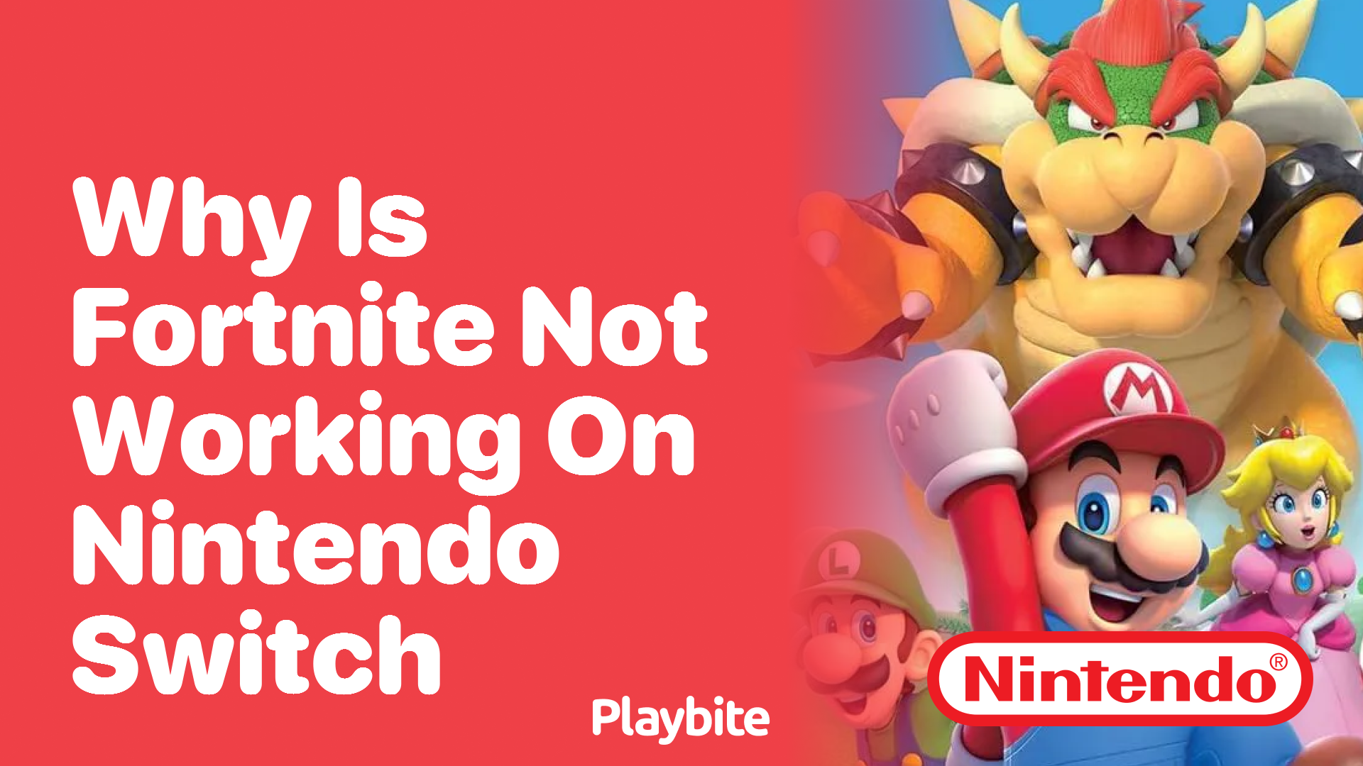 Why Is Fortnite Not Working on Nintendo Switch?