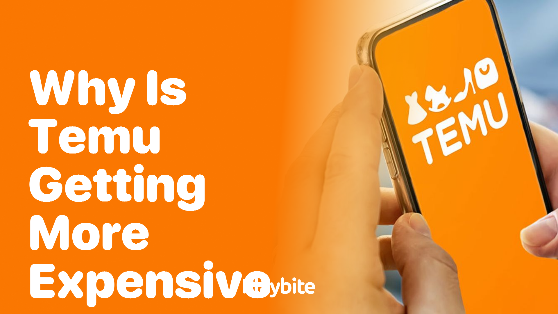 Why is Temu Getting More Expensive? Let’s Find Out!