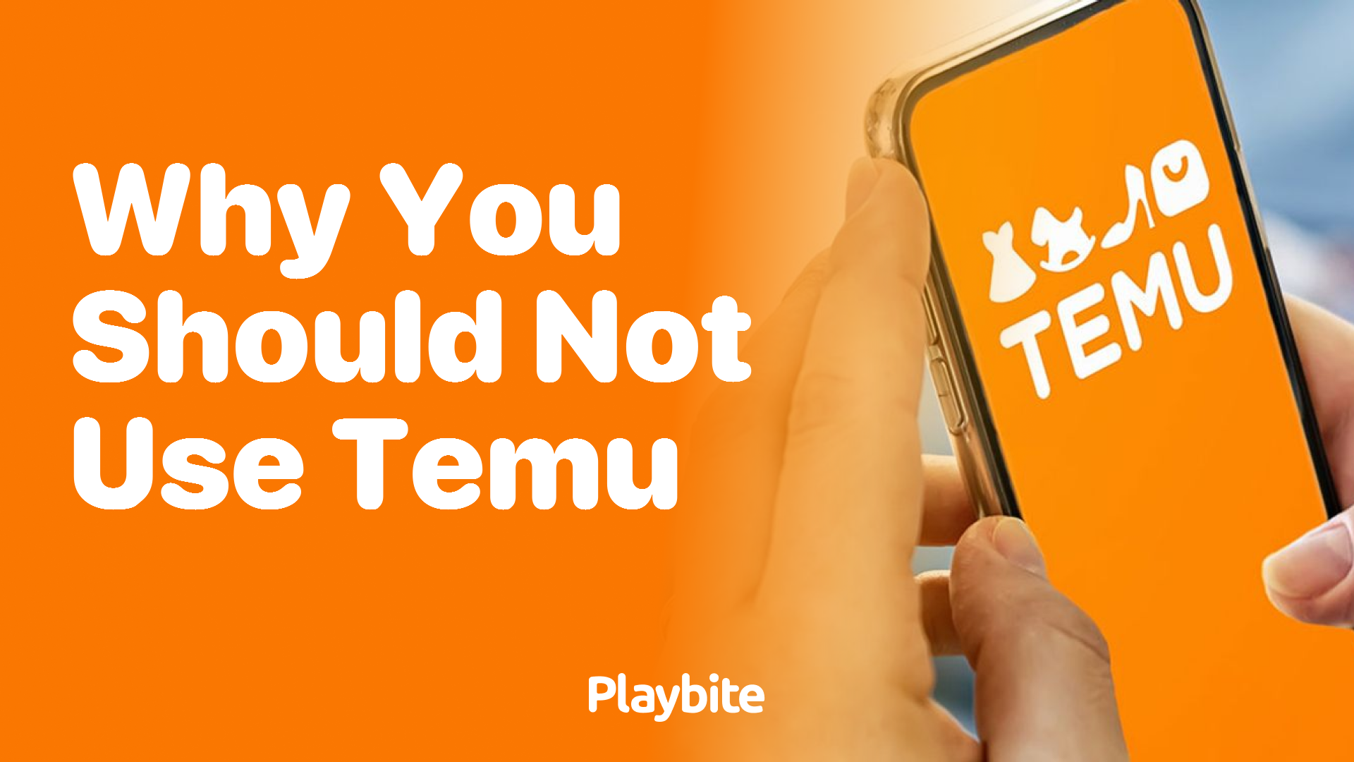 Why You Should Not Use Temu? Understanding the Query