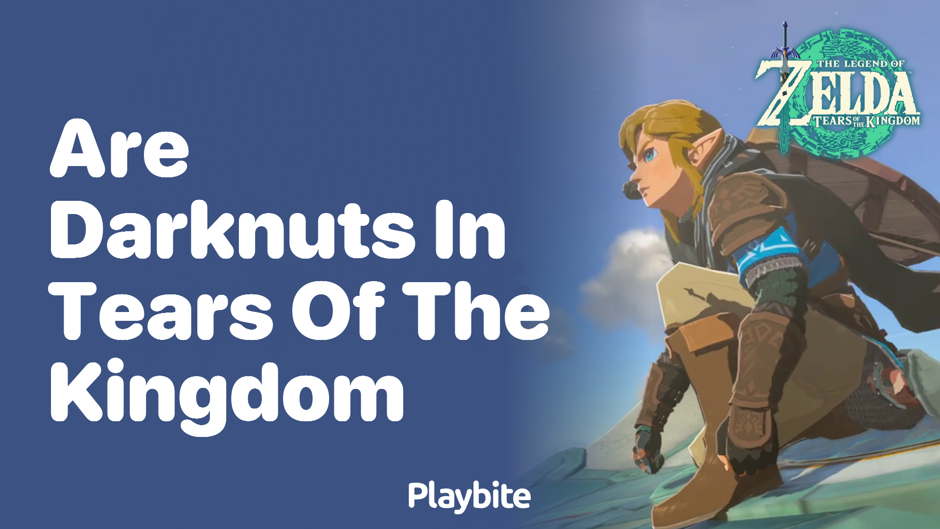 Are Darknuts in Tears of the Kingdom?