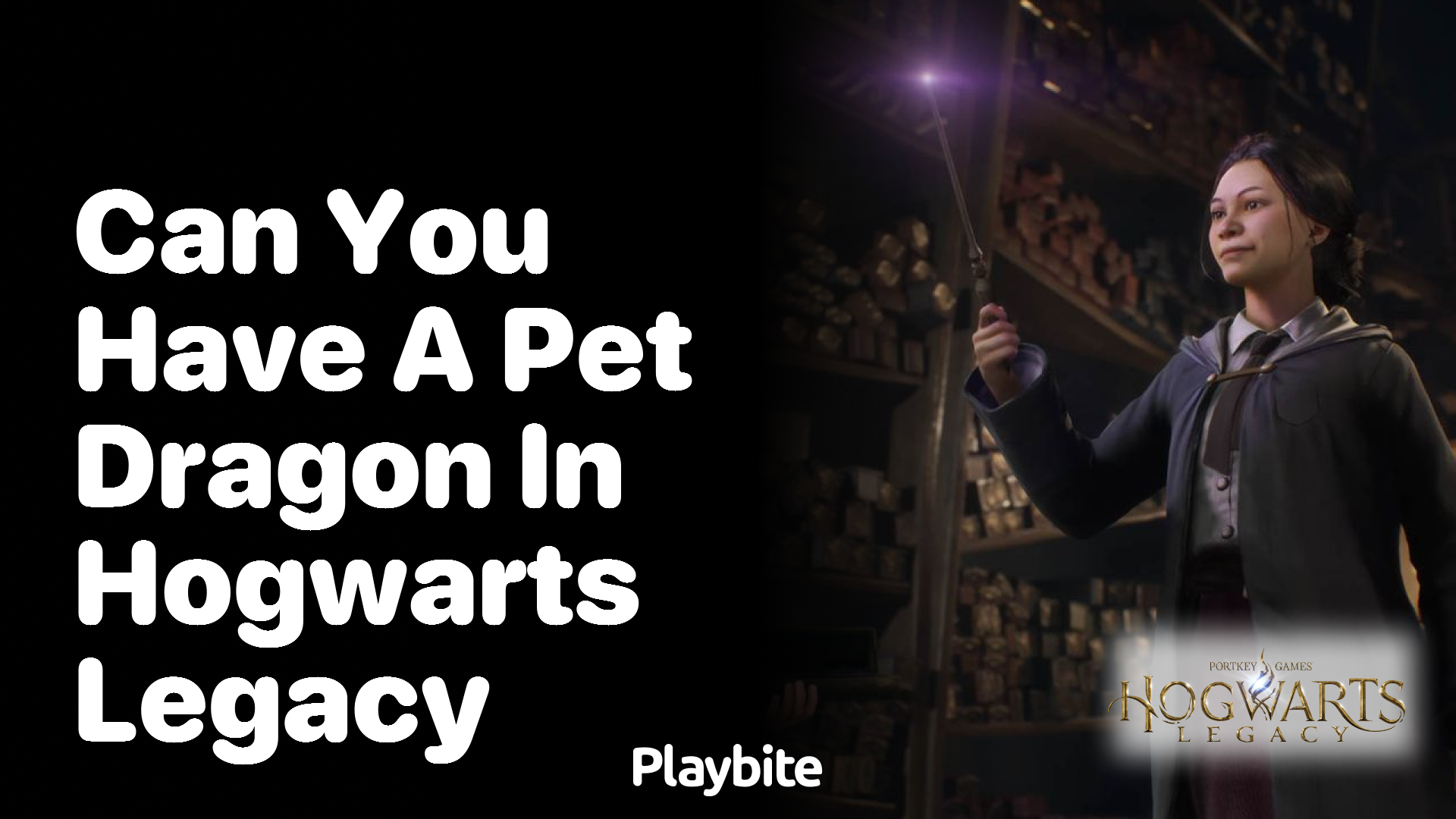 Can You Have a Pet Dragon in Hogwarts Legacy?