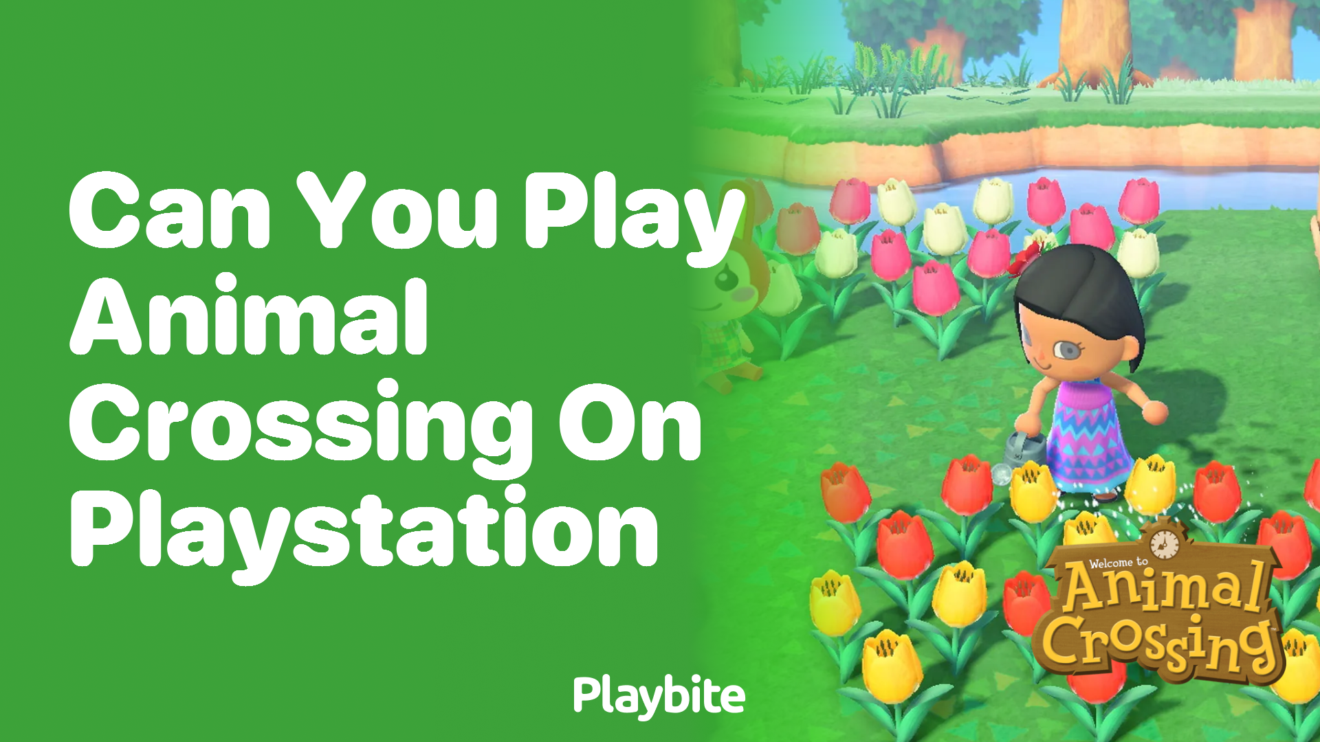 Can you play Animal Crossing on PlayStation?