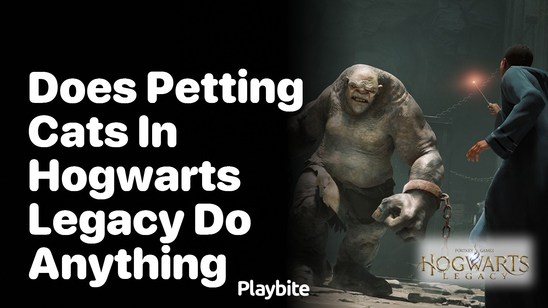 Does Petting Cats in Hogwarts Legacy Do Anything?