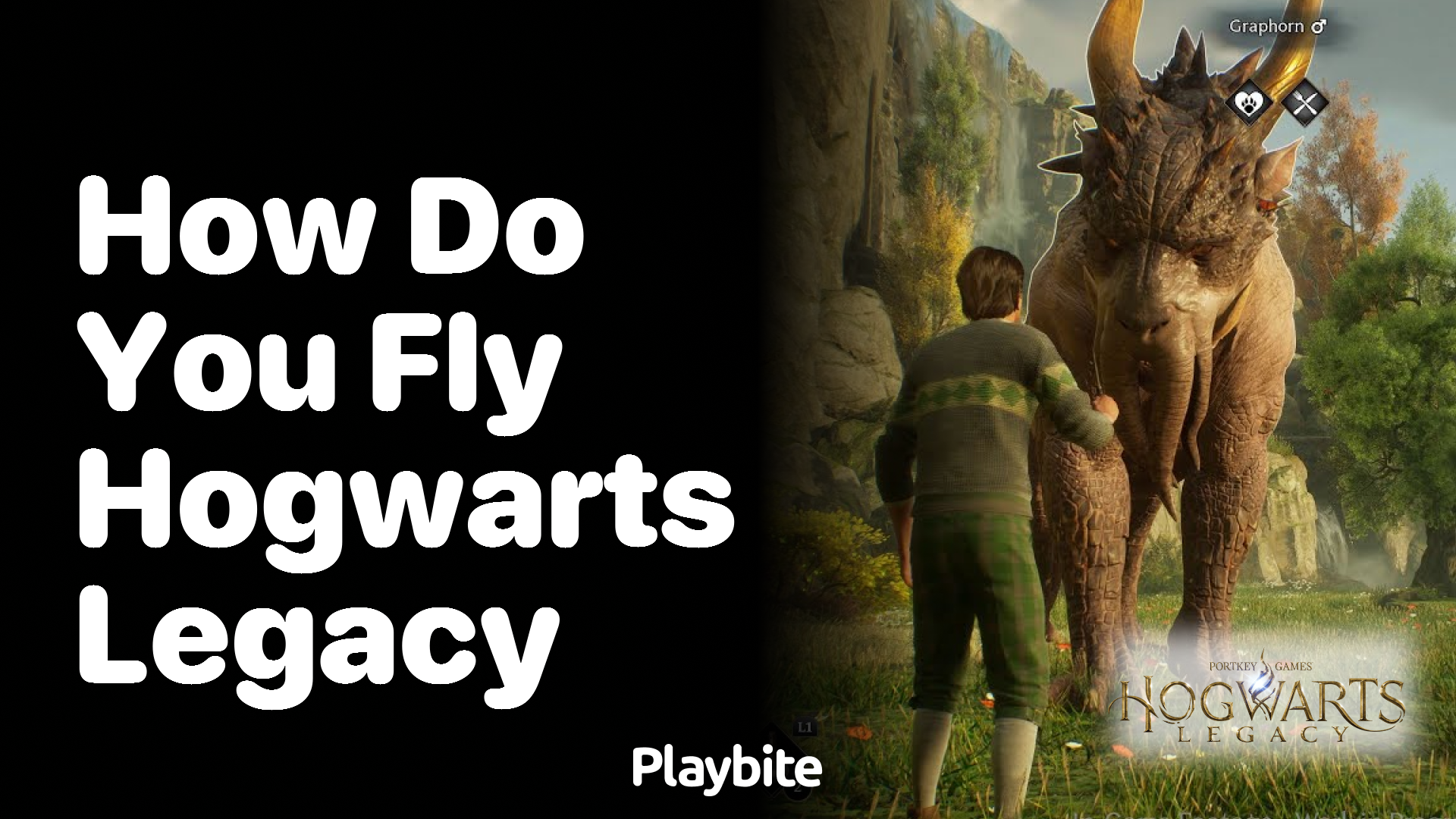 How do you fly in Hogwarts Legacy?
