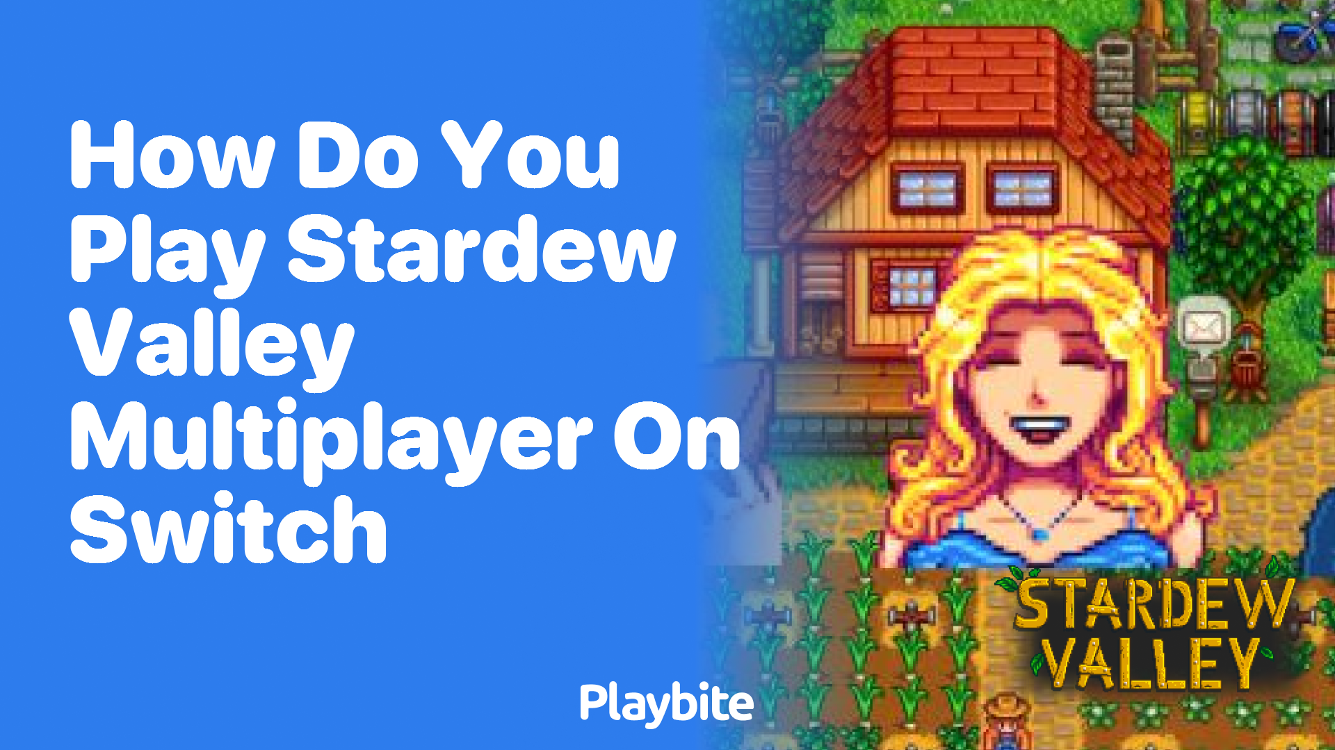 How do you play Stardew Valley multiplayer on Switch?