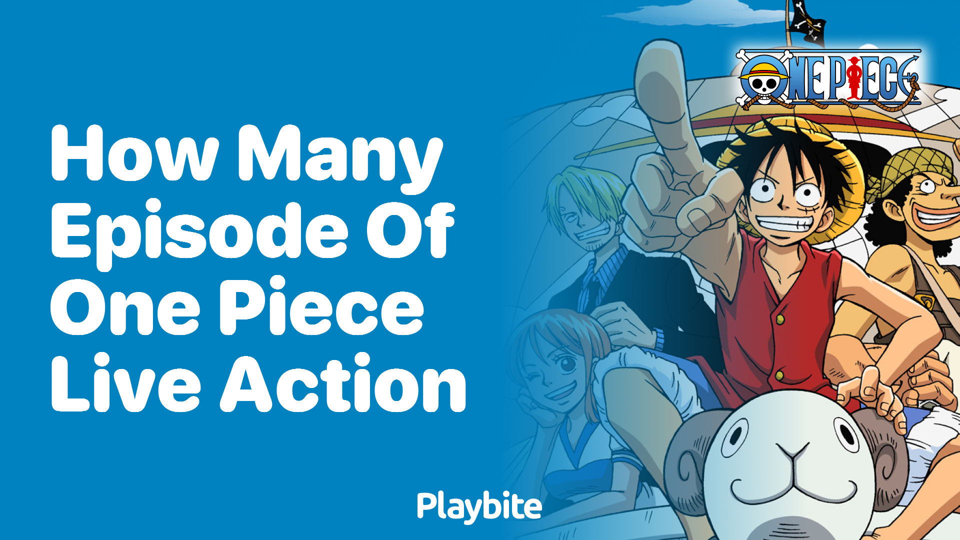 How Many Episodes Are in the One Piece Live Action Series?