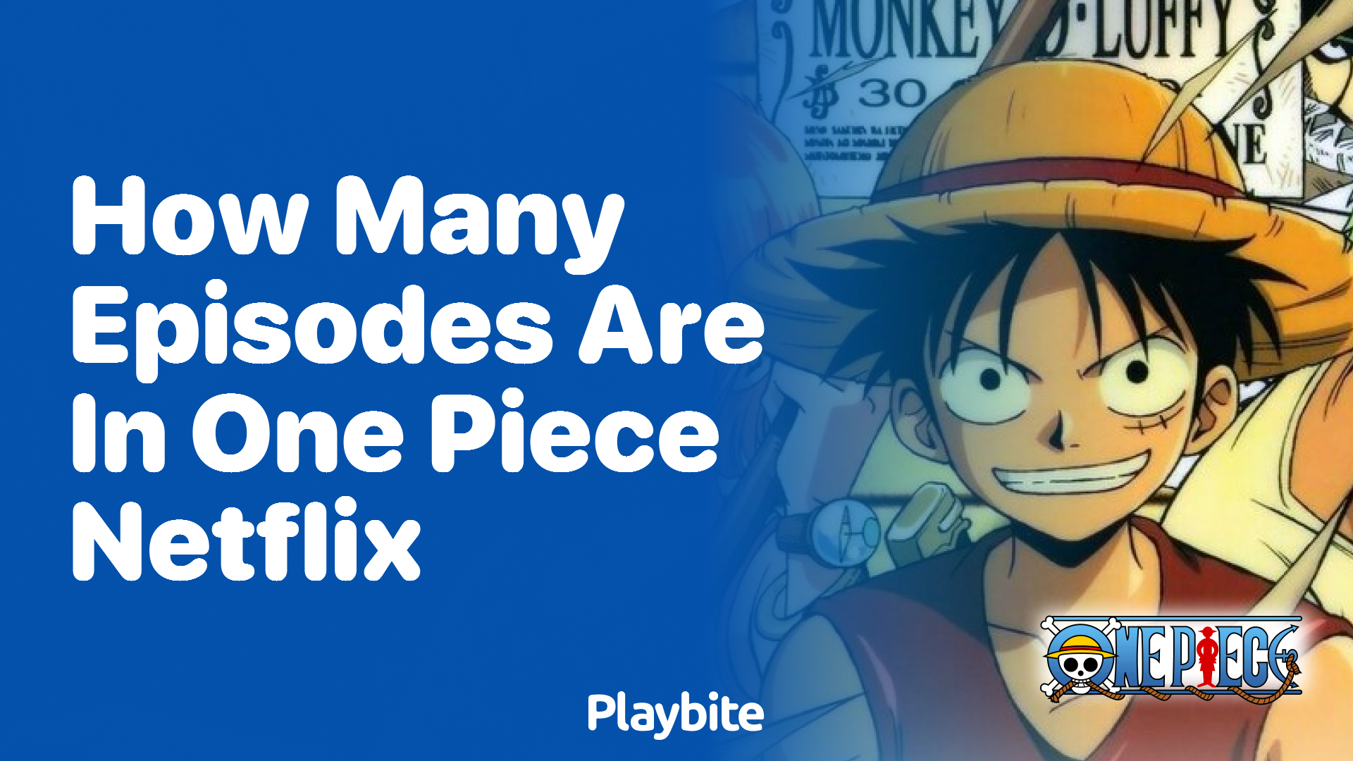How Many Episodes Are in One Piece on Netflix?