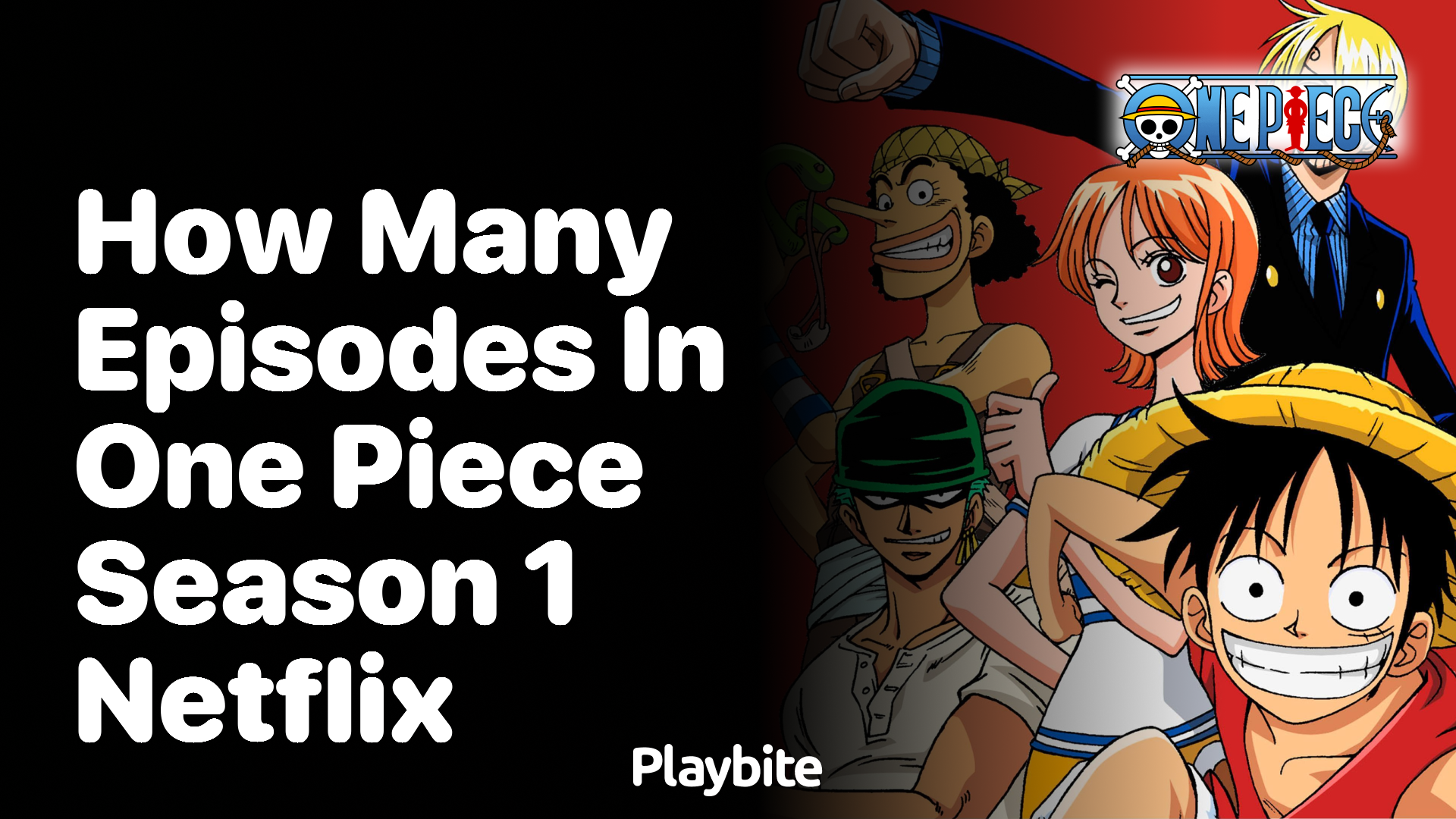 How Many Episodes are there in One Piece Season 1 on Netflix?