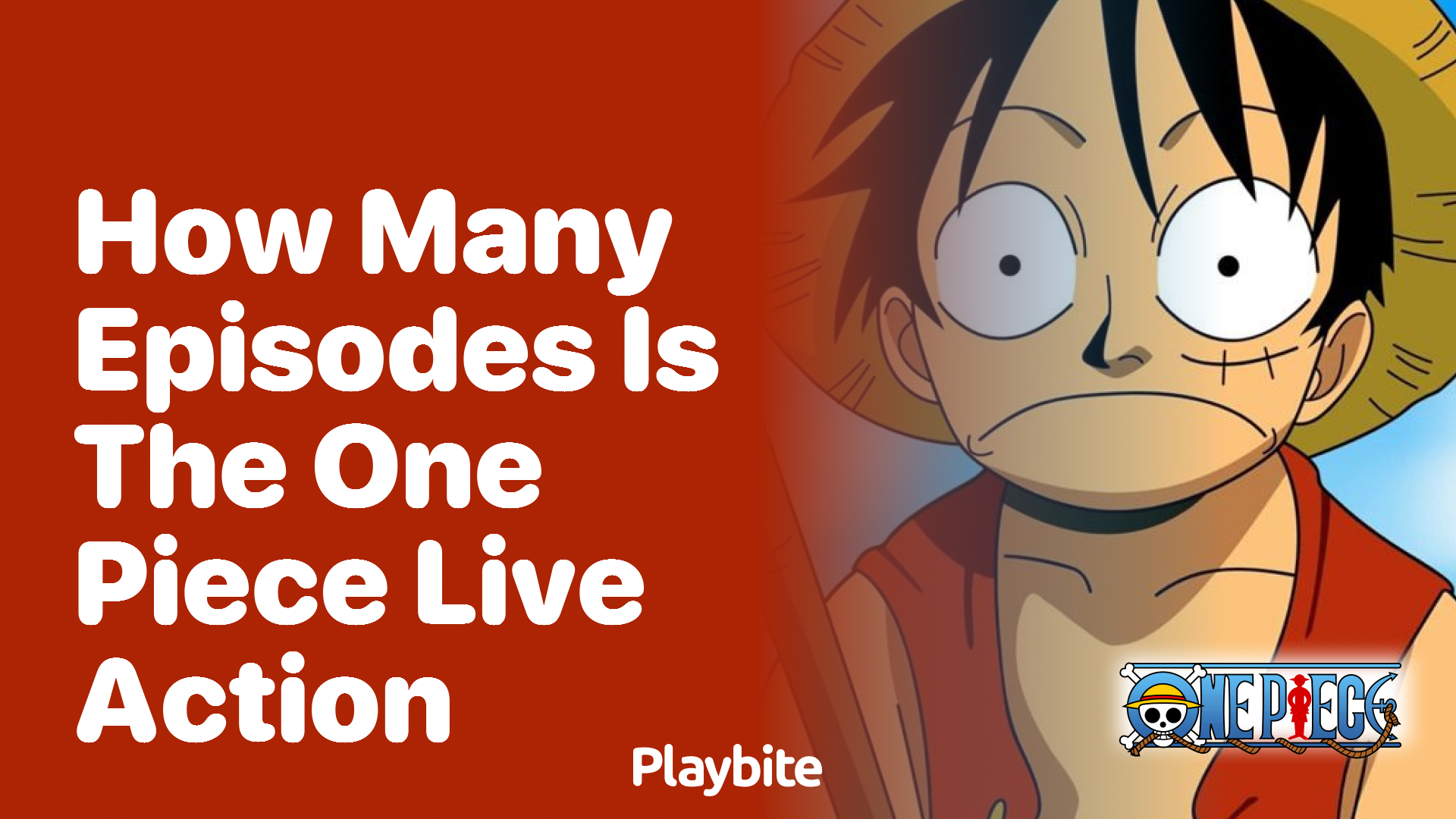 How Many Episodes is the One Piece Live Action?