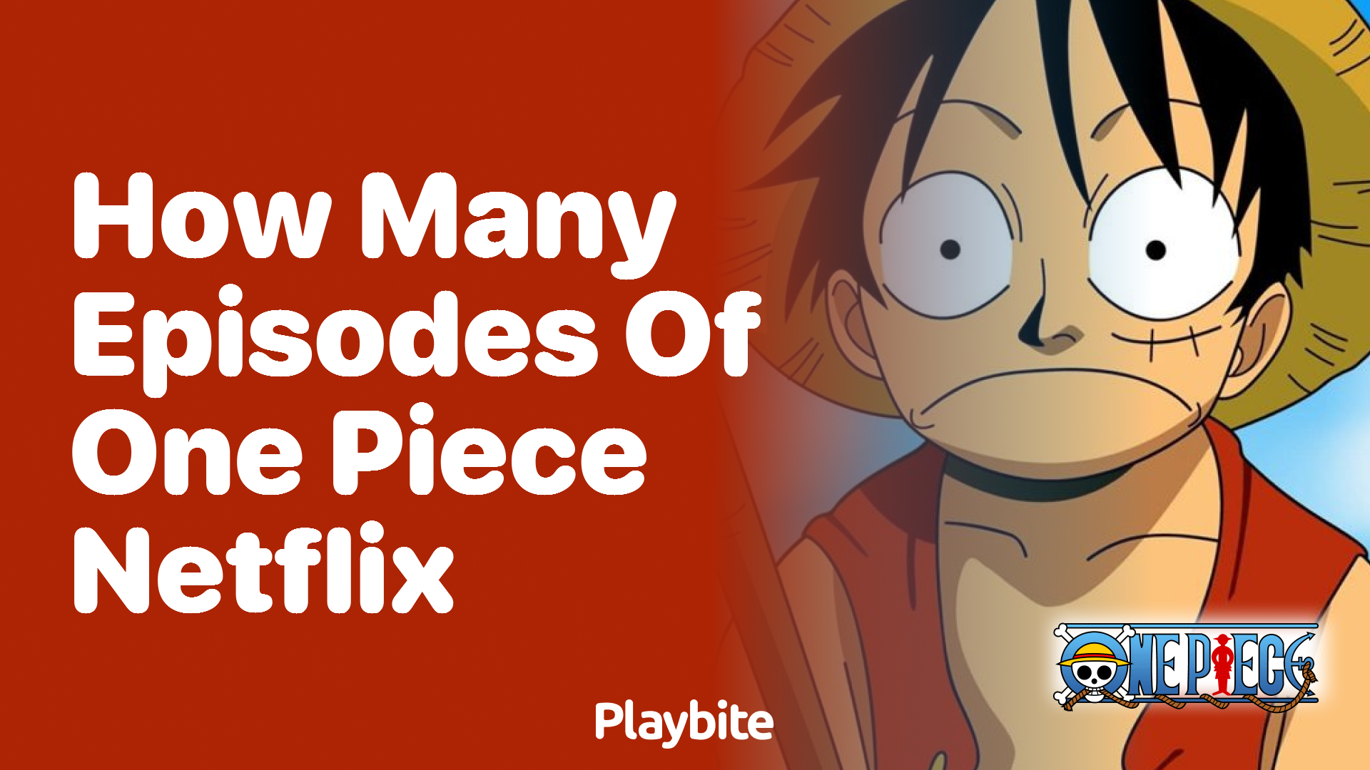 How Many Episodes of One Piece Are on Netflix?