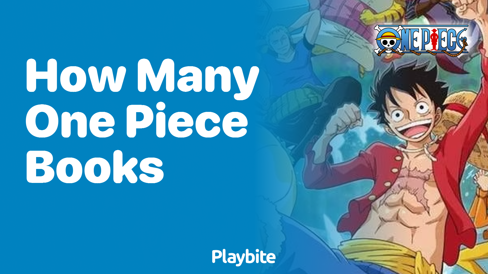How Many One Piece Books Are There? Playbite