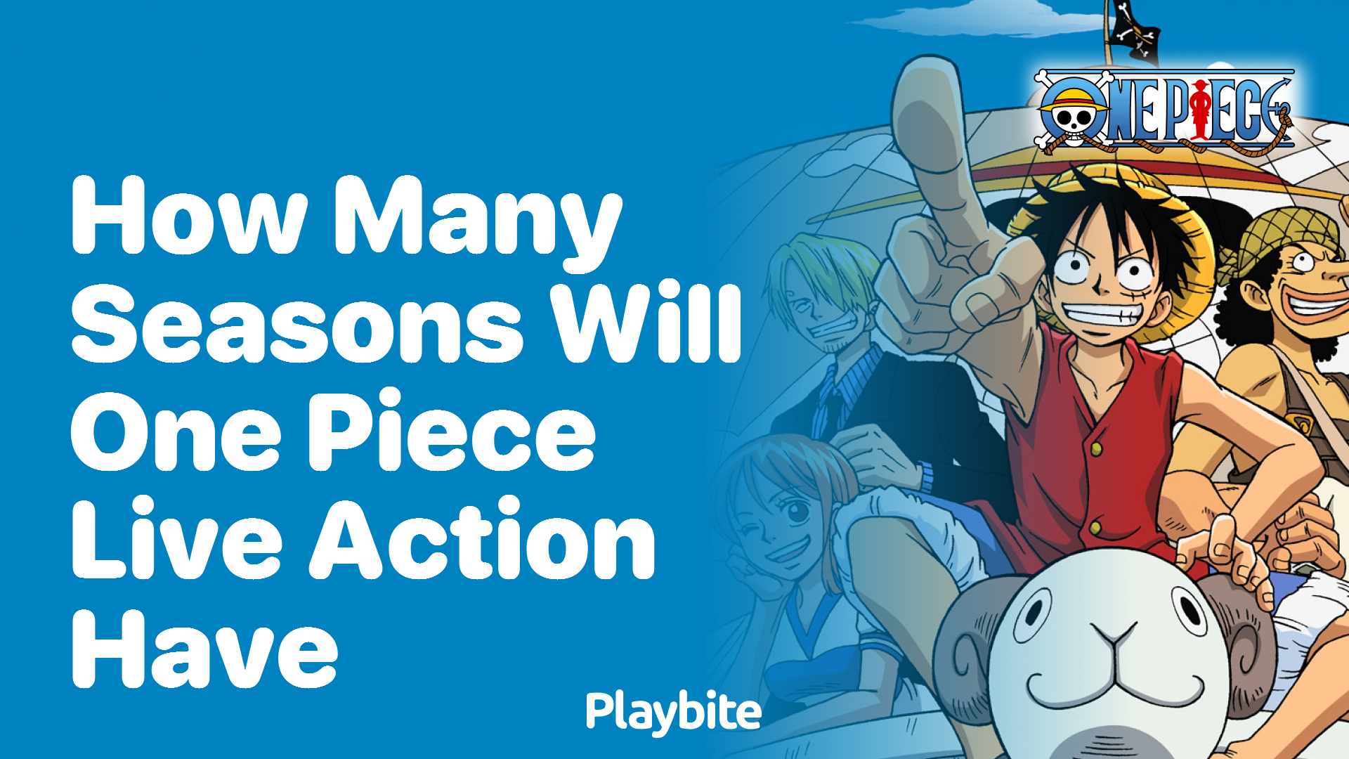 How Many Seasons Will the One Piece Live Action Series Have?