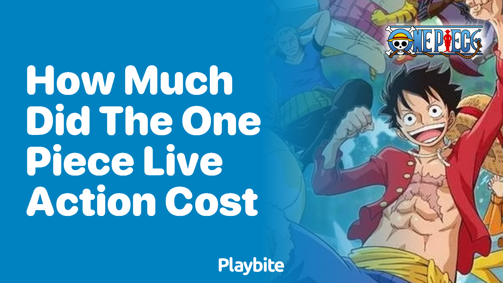How Much Did the One Piece Live Action Cost?