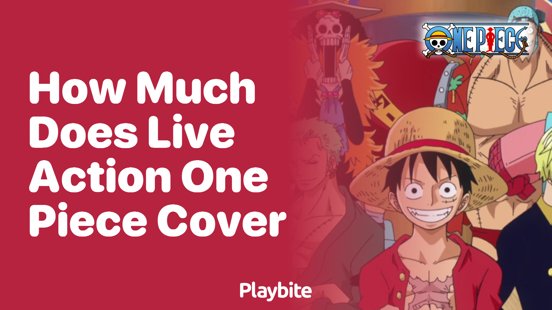 How Much Does the Live Action One Piece Cover?
