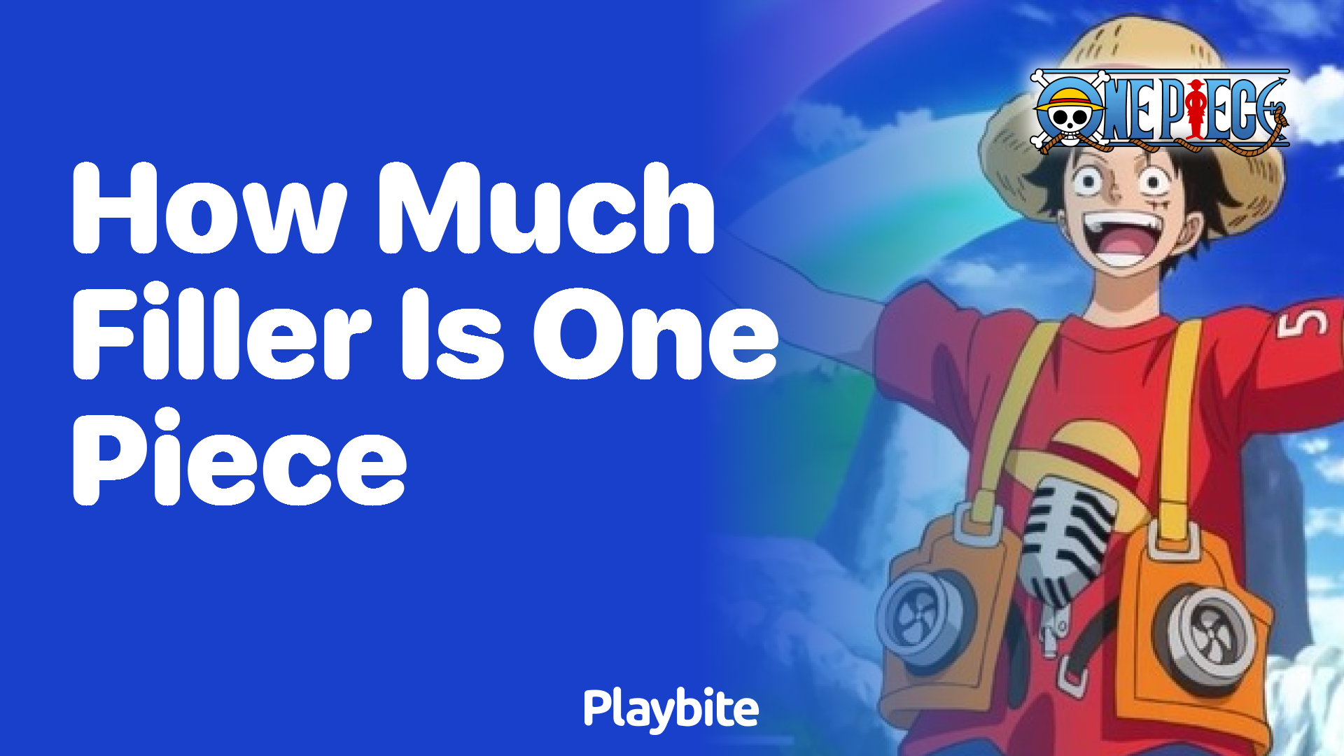 How Much Filler Does One Piece Have? Playbite