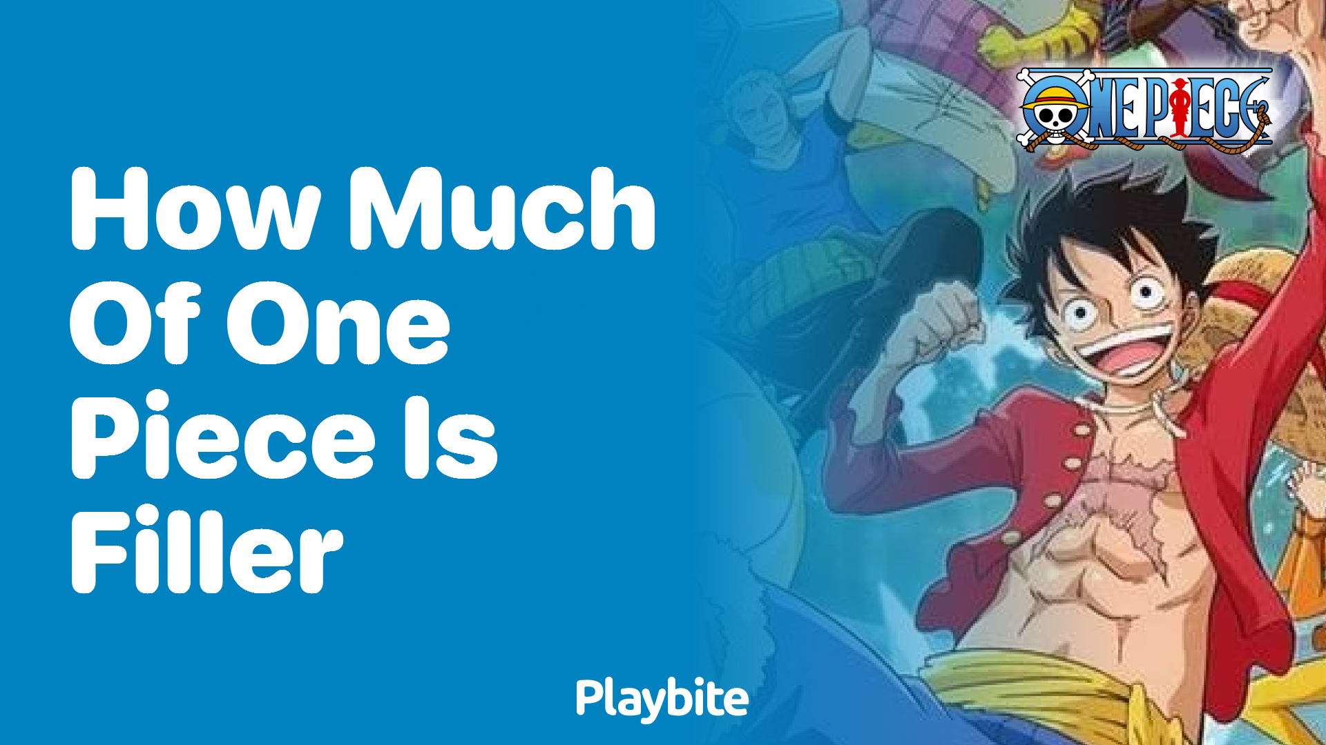 How Much of One Piece is Filler?