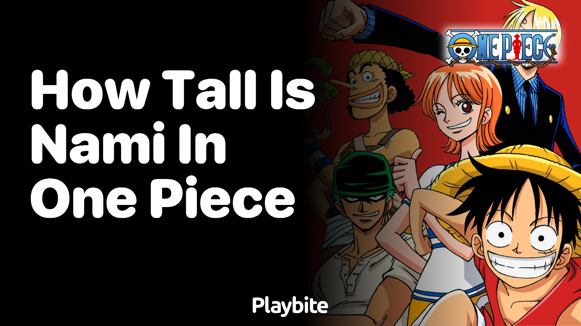 How Tall is Nami in One Piece?