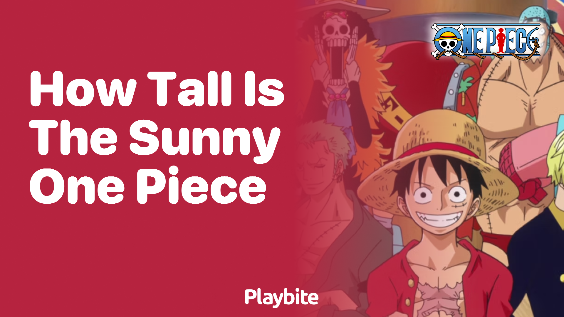 How Tall Is the Sunny in One Piece?