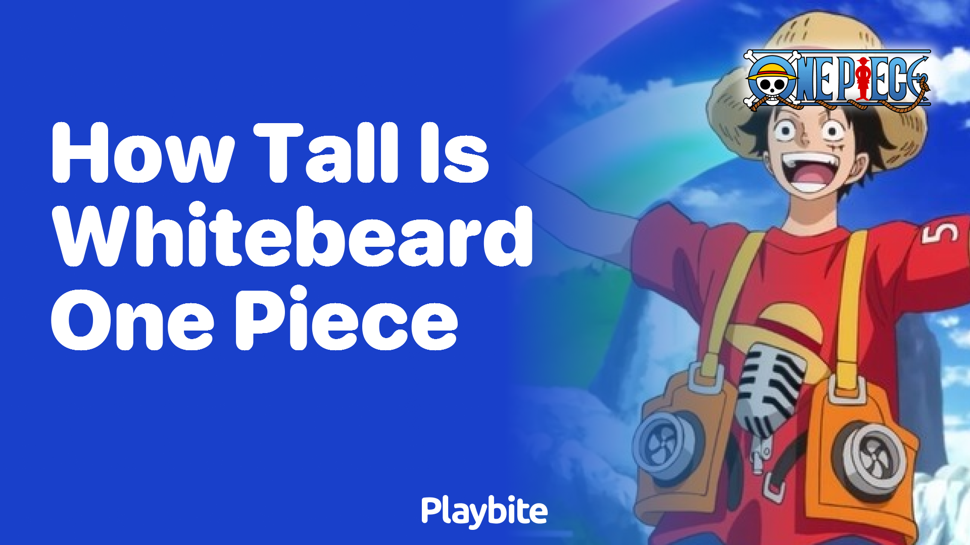 How Tall is Whitebeard in One Piece?