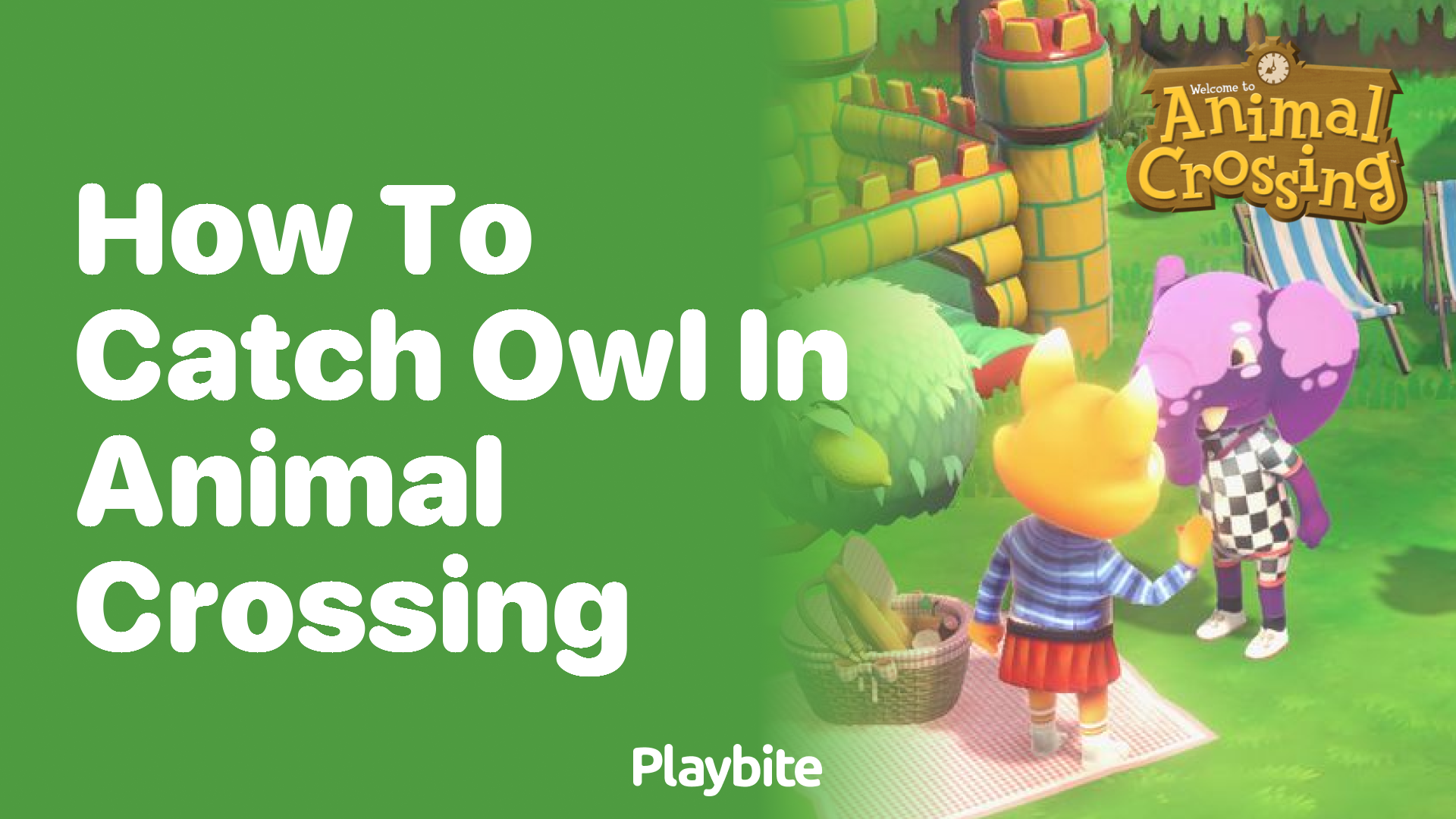 How to Catch an Owl in Animal Crossing