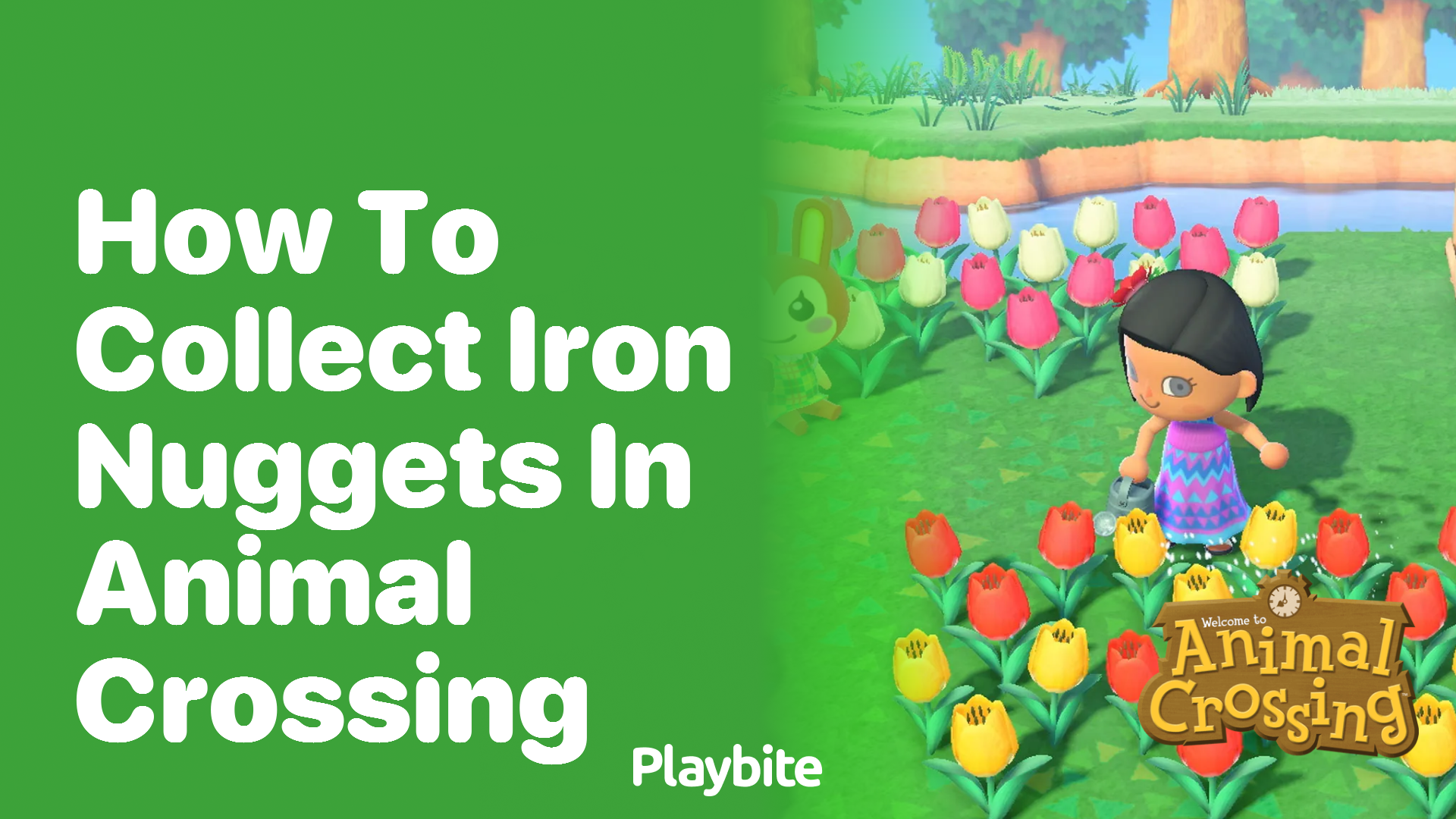 How to Collect Iron Nuggets in Animal Crossing Playbite