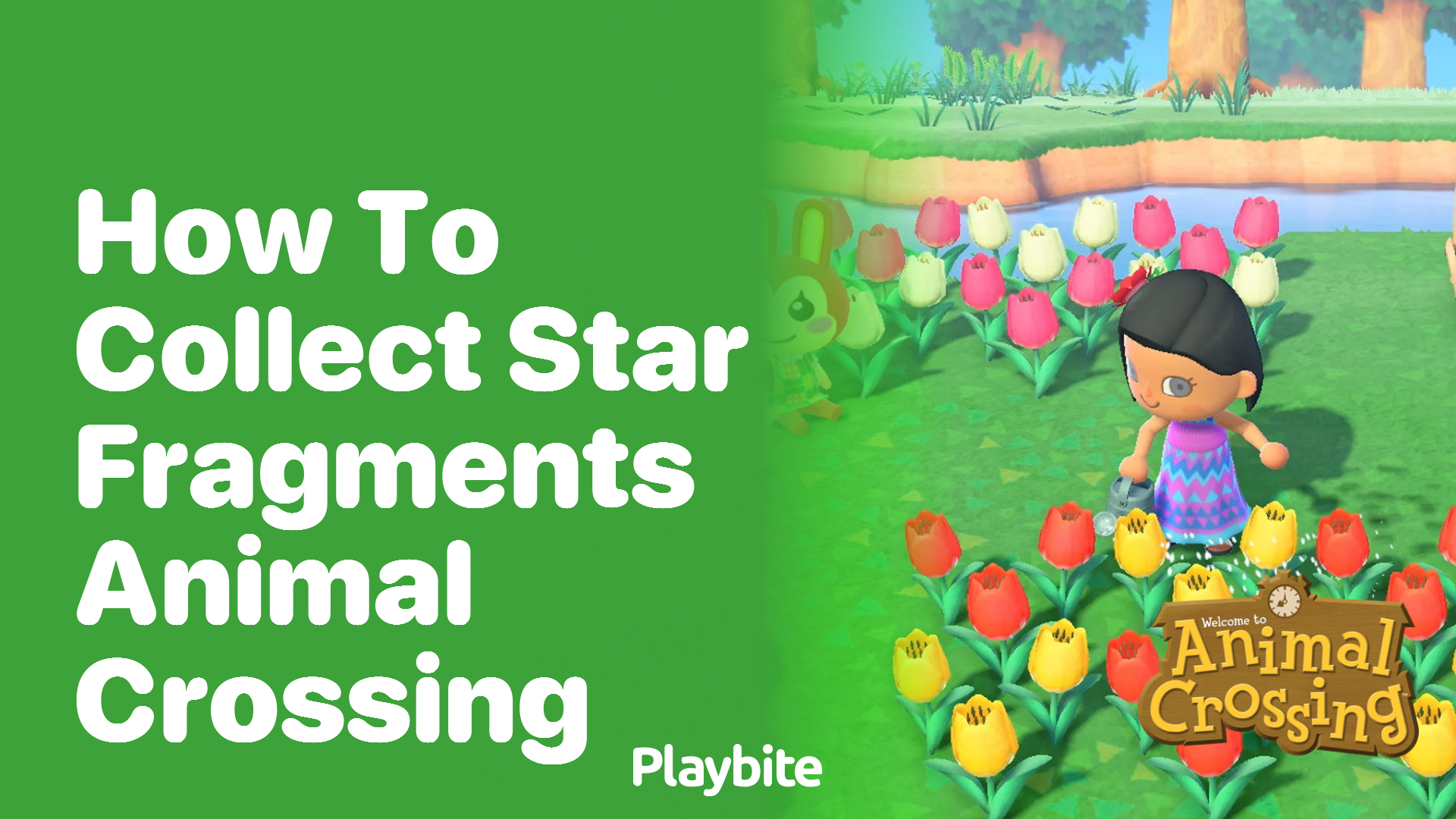 How to Collect Star Fragments in Animal Crossing