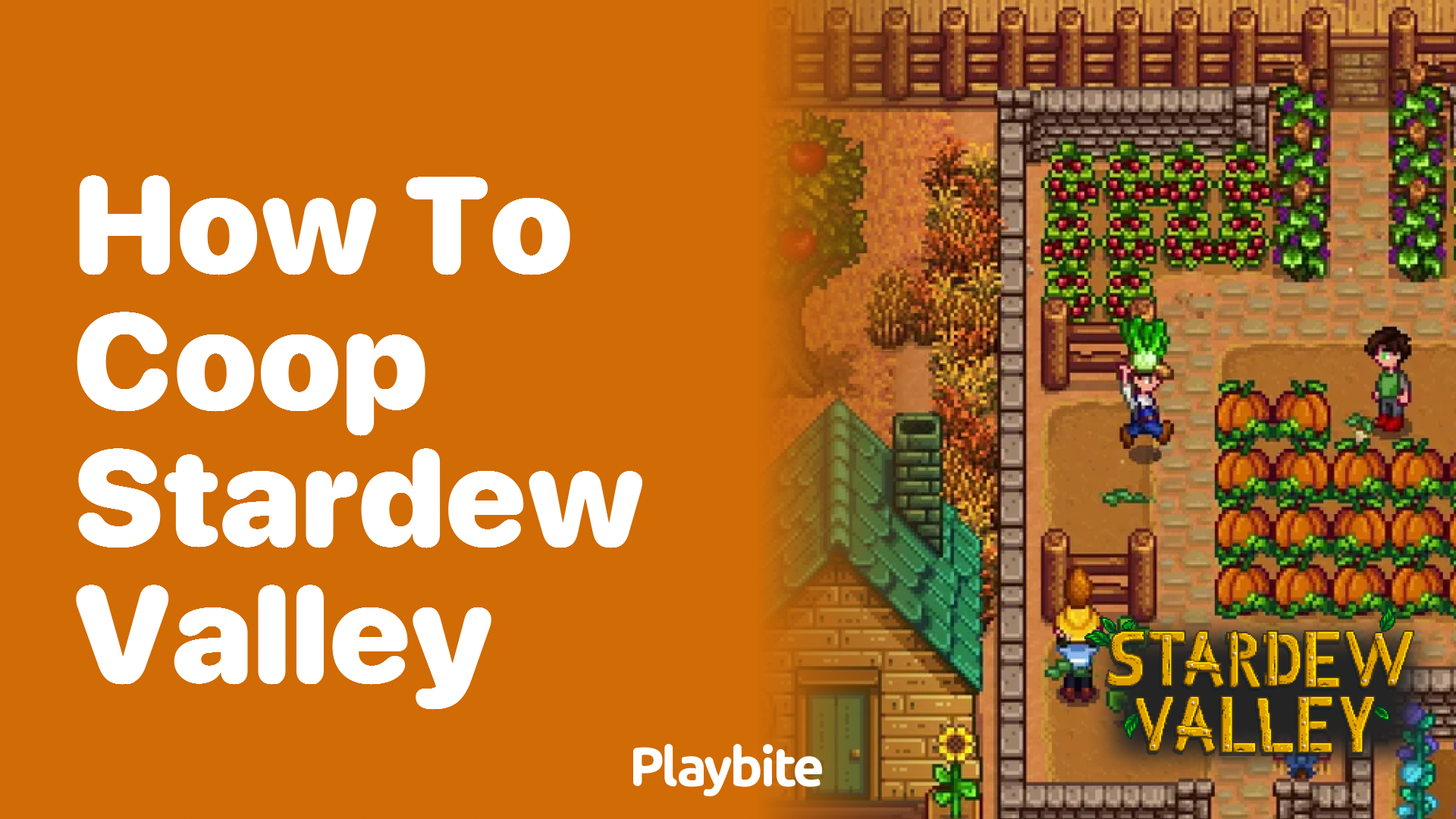 How to Play Co-op in Stardew Valley