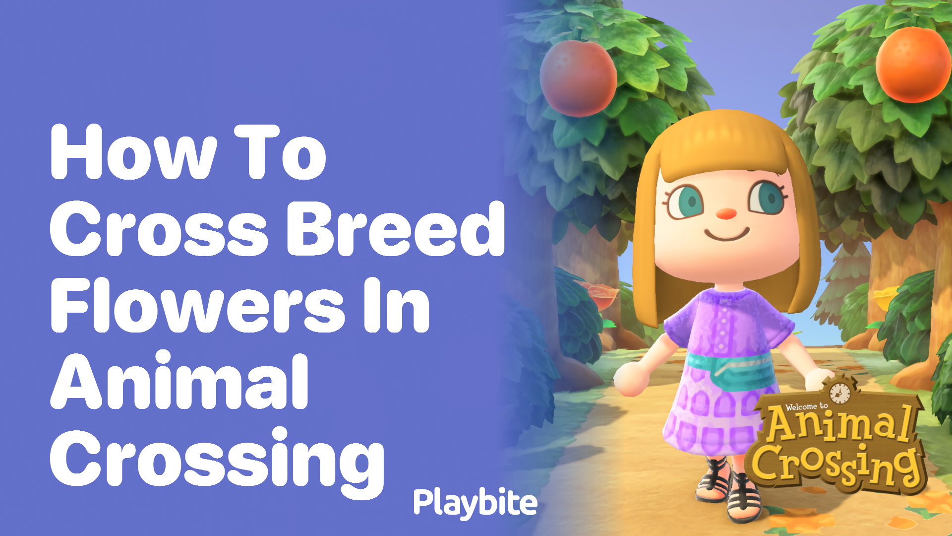 How to Cross Breed Flowers in Animal Crossing Playbite