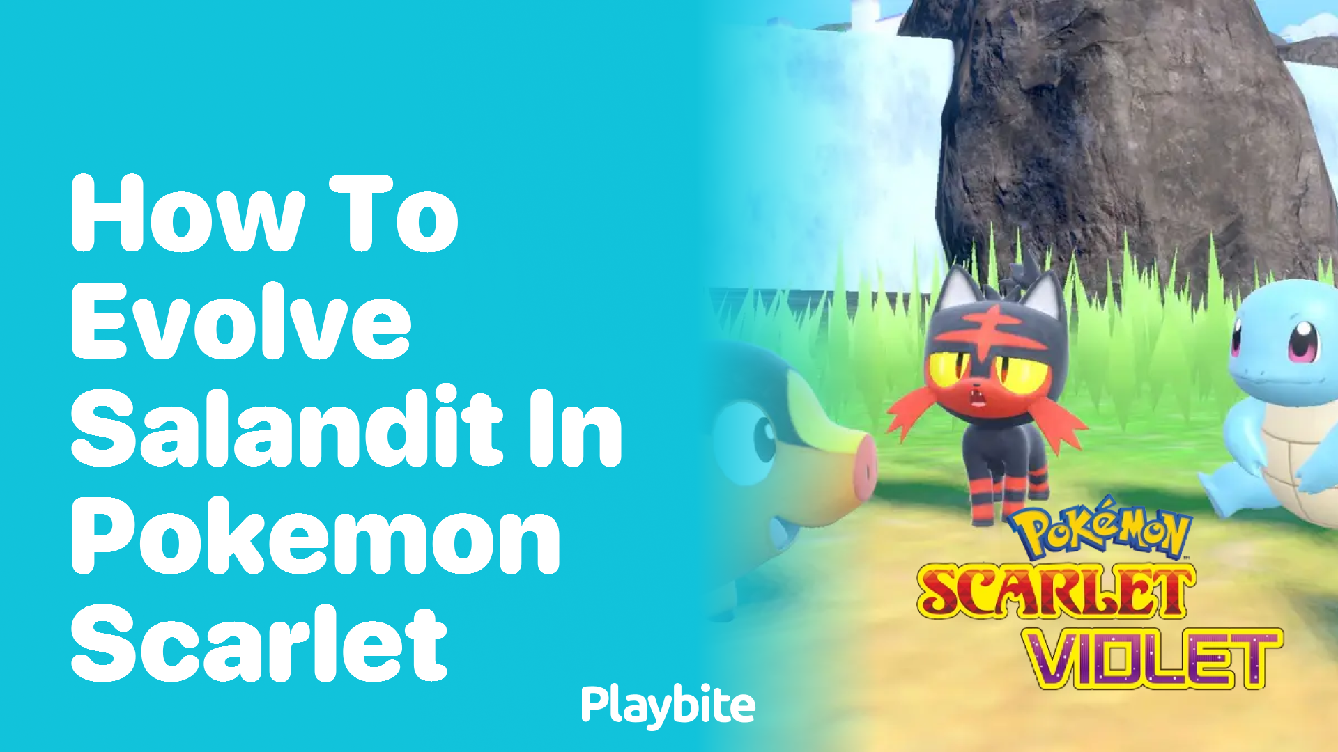 How to evolve Salandit in Pokémon Scarlet