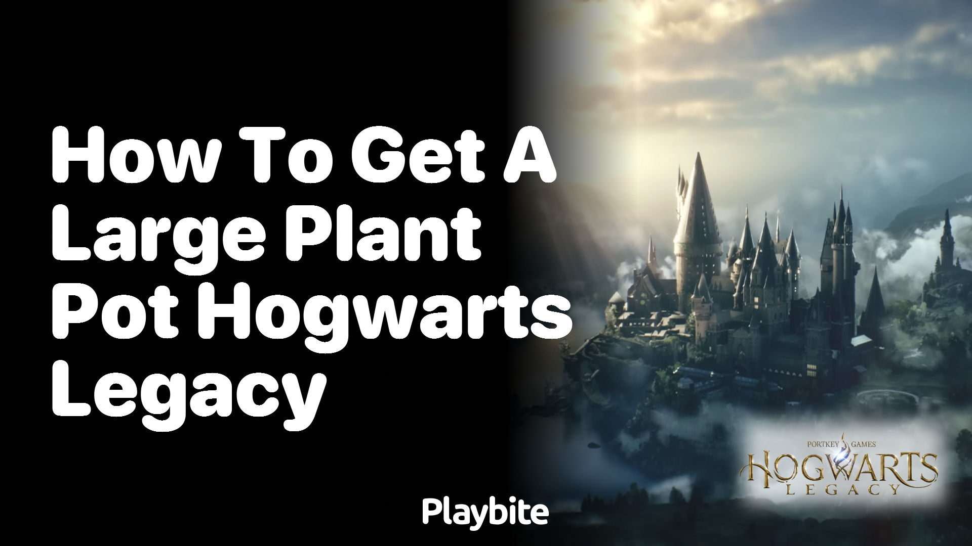 How to Get a Large Plant Pot in Hogwarts Legacy
