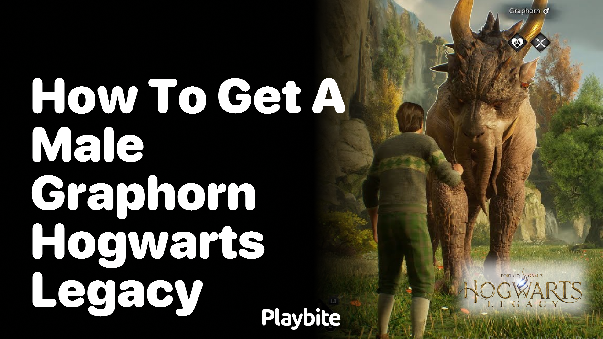 How to get a male Graphorn in Hogwarts Legacy