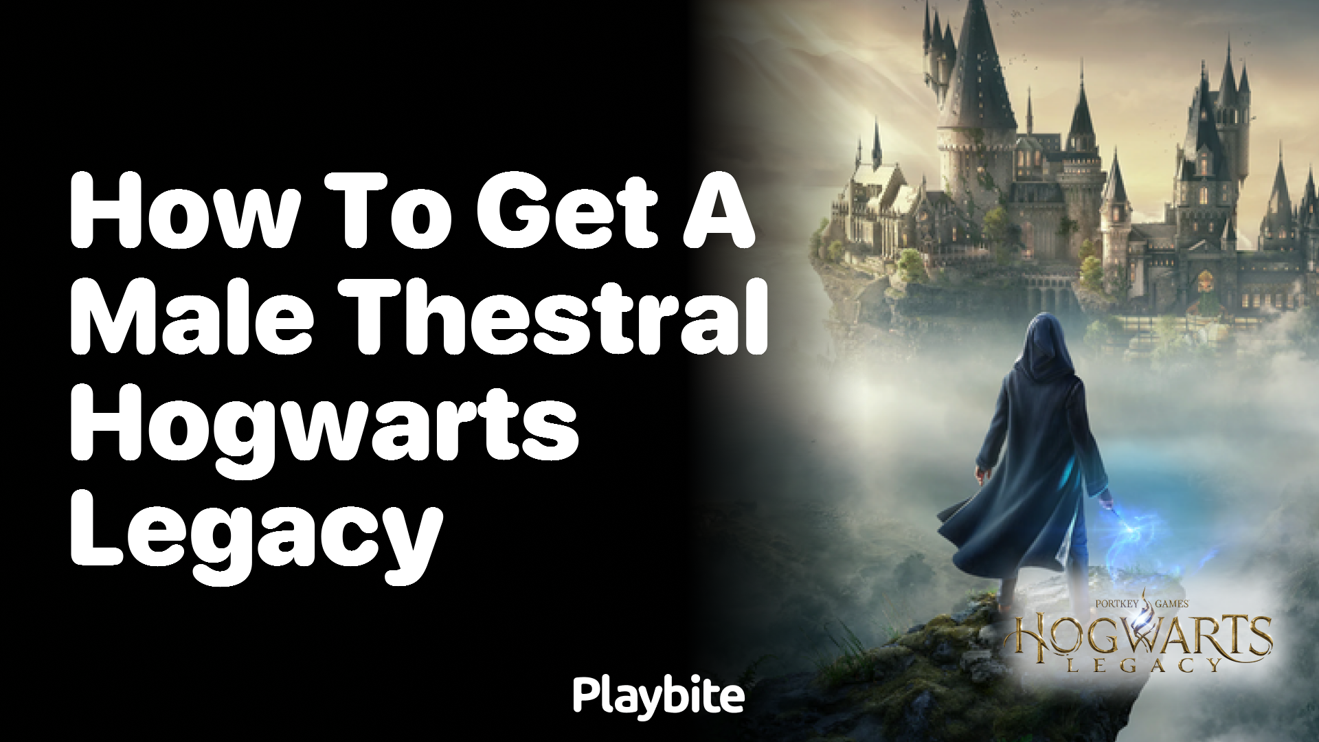 How to get a male Thestral in Hogwarts Legacy