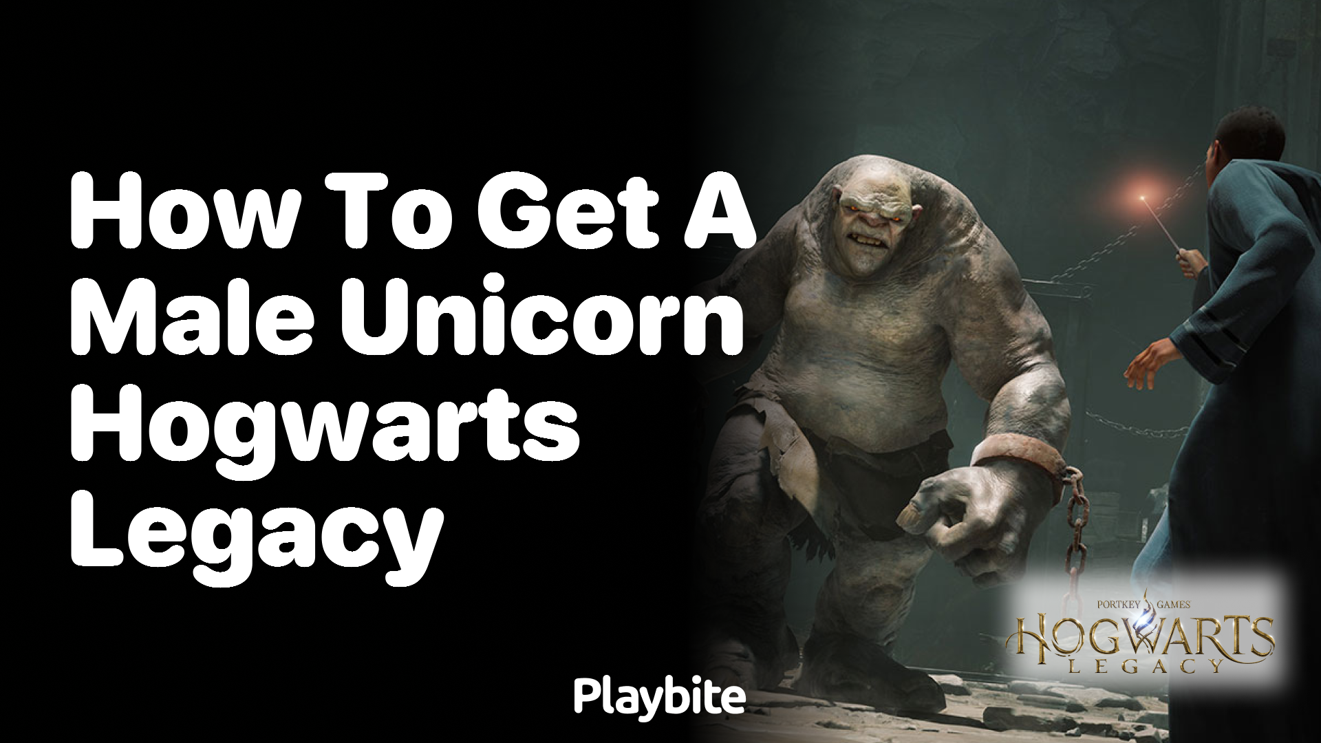 How to get a male unicorn in Hogwarts Legacy