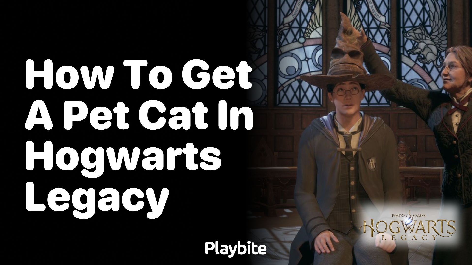 How to Get a Pet Cat in Hogwarts Legacy