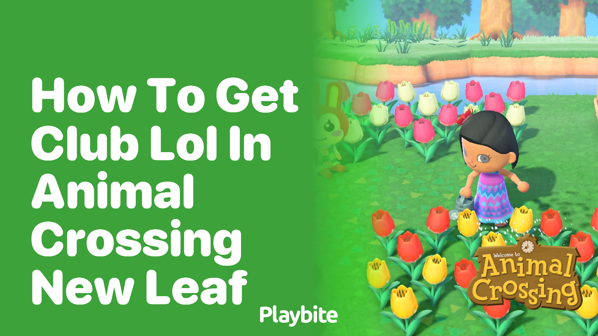 How to Get Club LOL in Animal Crossing New Leaf