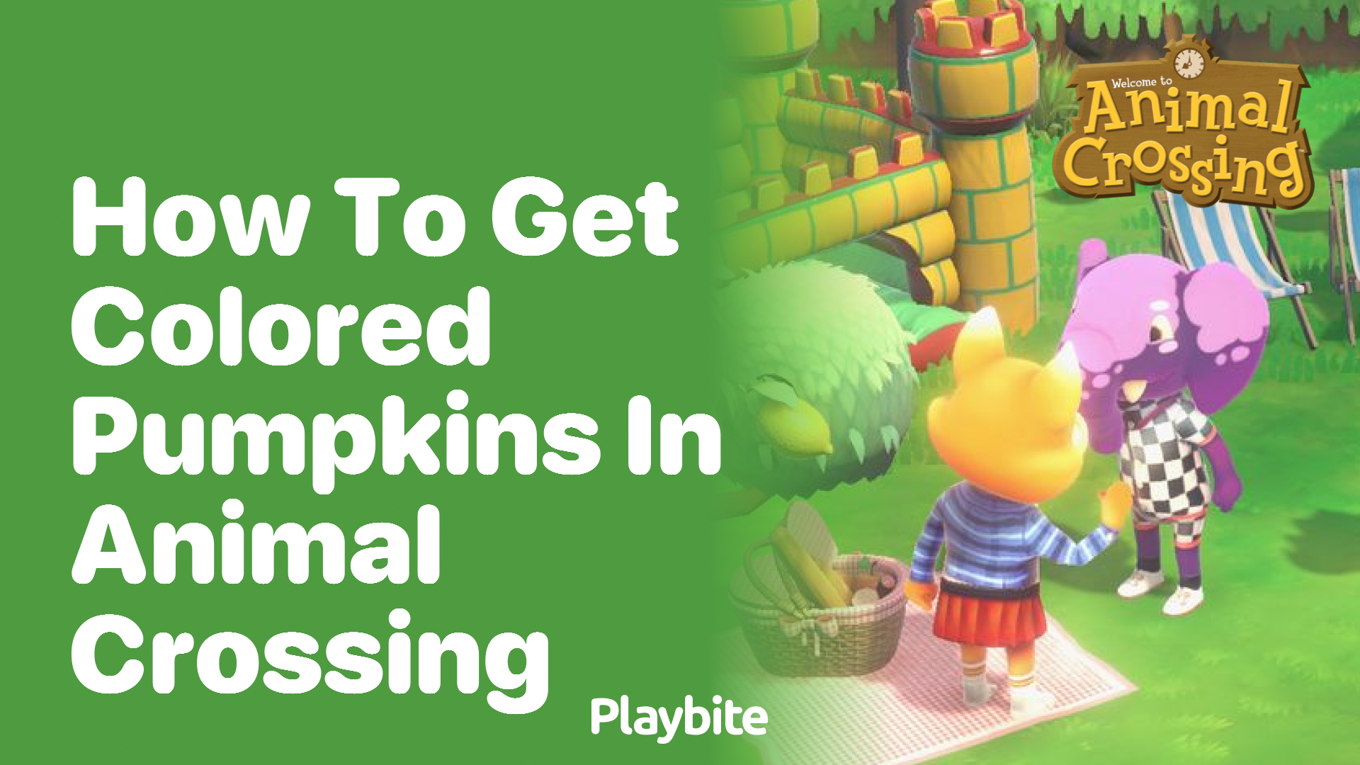 How to Get Colored Pumpkins in Animal Crossing