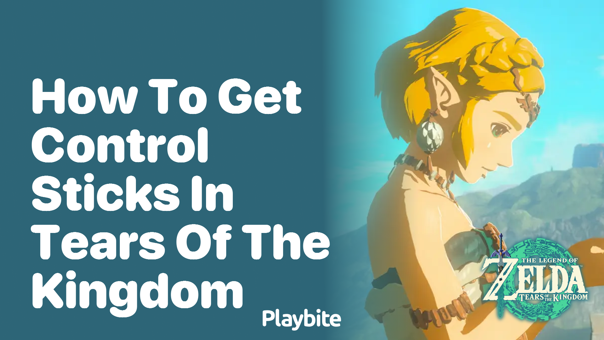 How to Get Control Sticks in Tears of the Kingdom