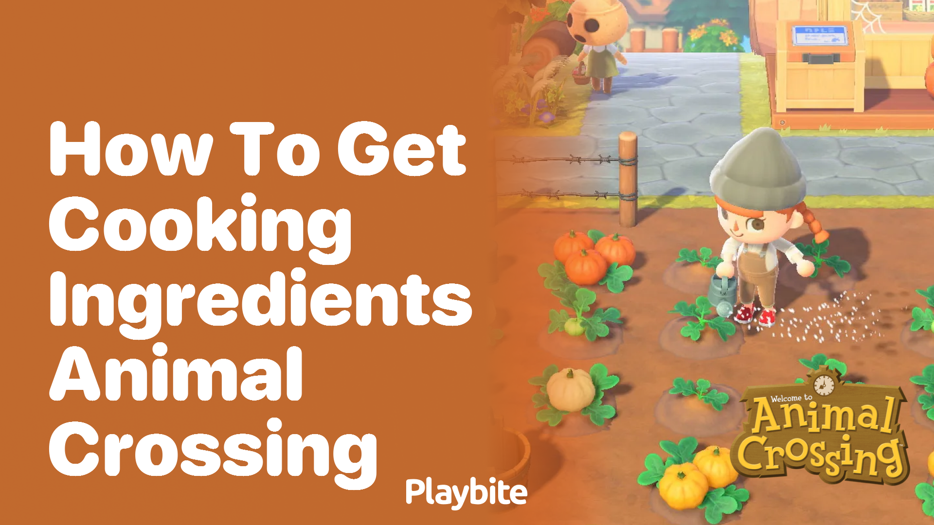 How to get cooking ingredients in Animal Crossing