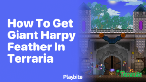 How To Get Giant Harpy Feather In Terraria