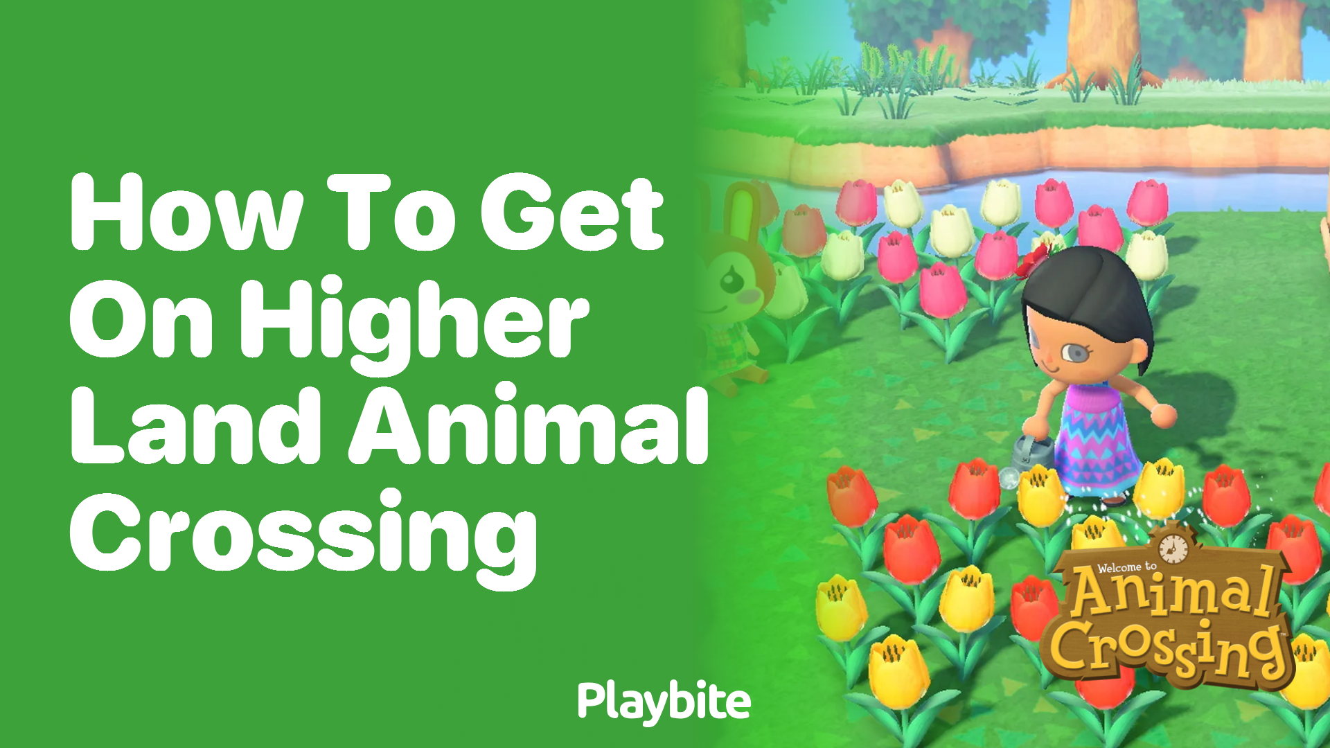 How to get on higher land in Animal Crossing