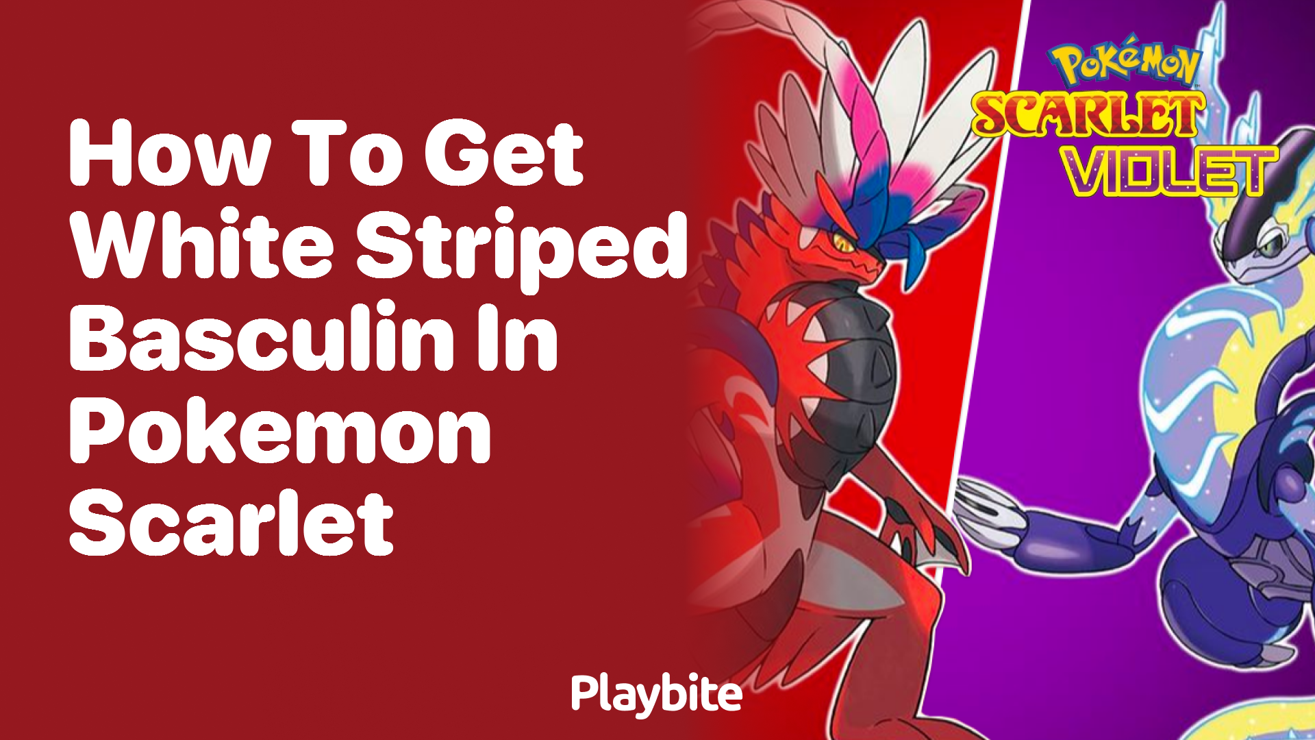 How to Get White Striped Basculin in Pokemon Scarlet