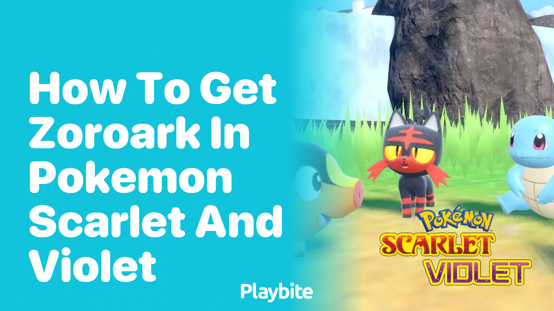How to get Zoroark in Pokémon Scarlet and Violet