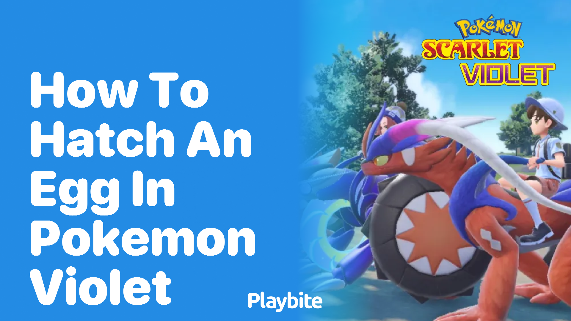 How to Hatch an Egg in Pokémon Violet Playbite
