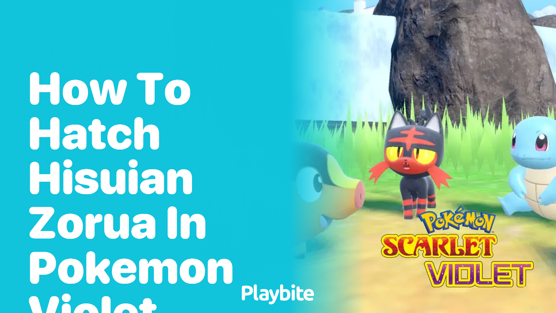 How to hatch Hisuian Zorua in Pokemon Violet